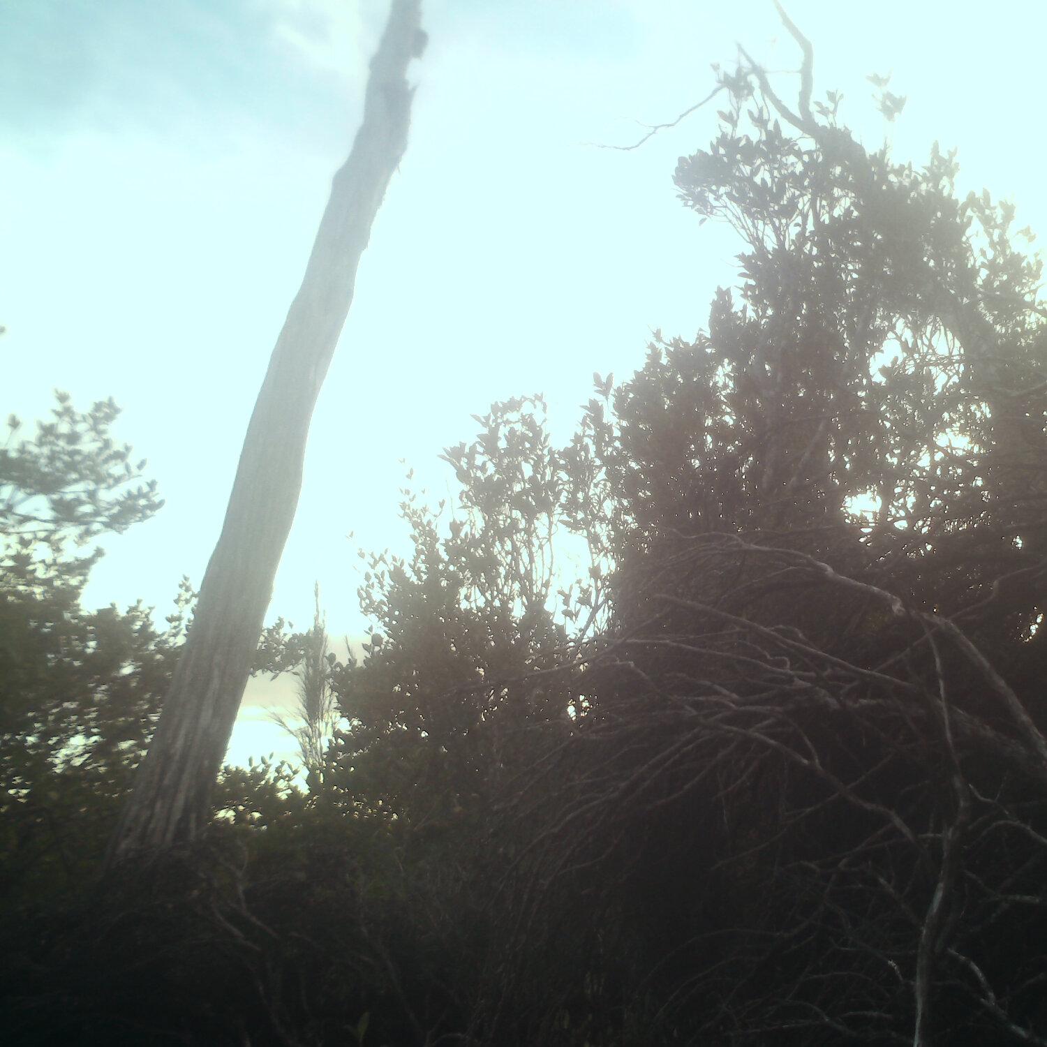 A photo captured from the webcam at the time the audio was recorded