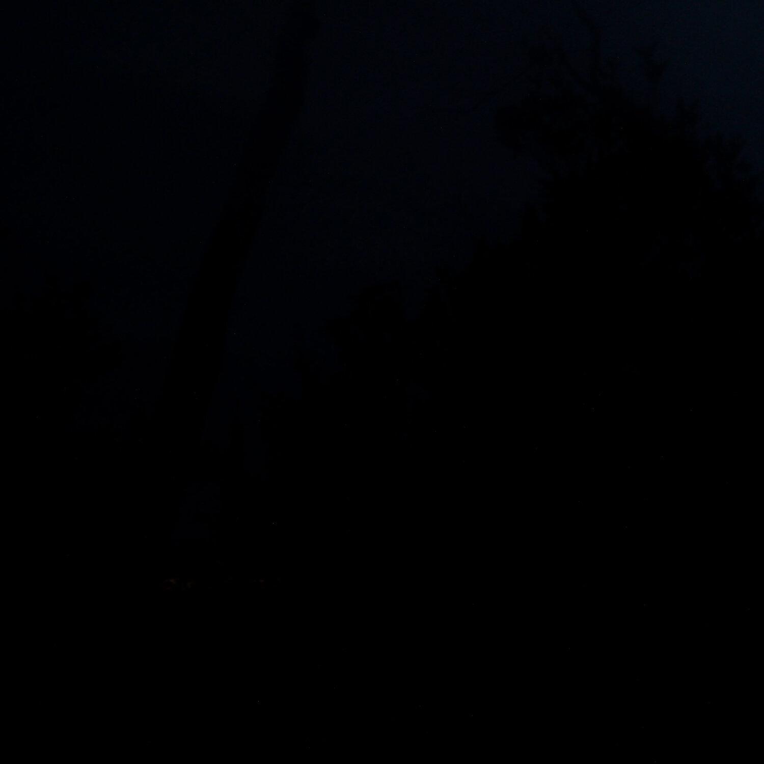 A photo captured from the webcam at the time the audio was recorded