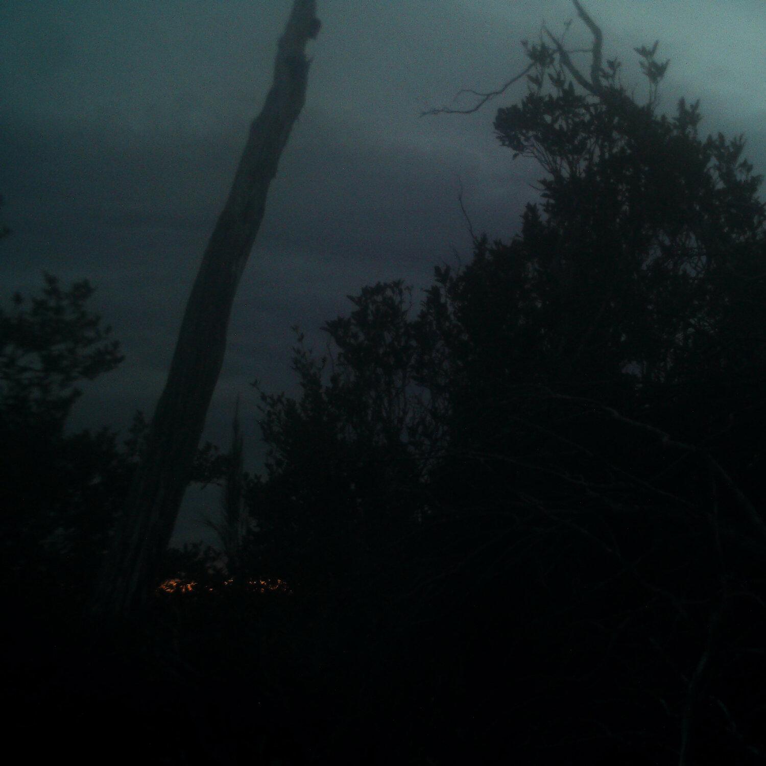 A photo captured from the webcam at the time the audio was recorded