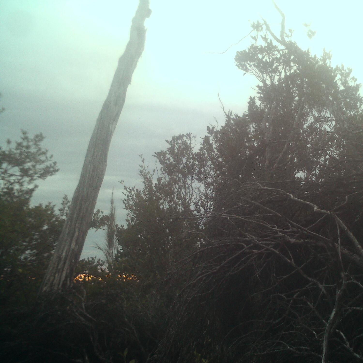 A photo captured from the webcam at the time the audio was recorded