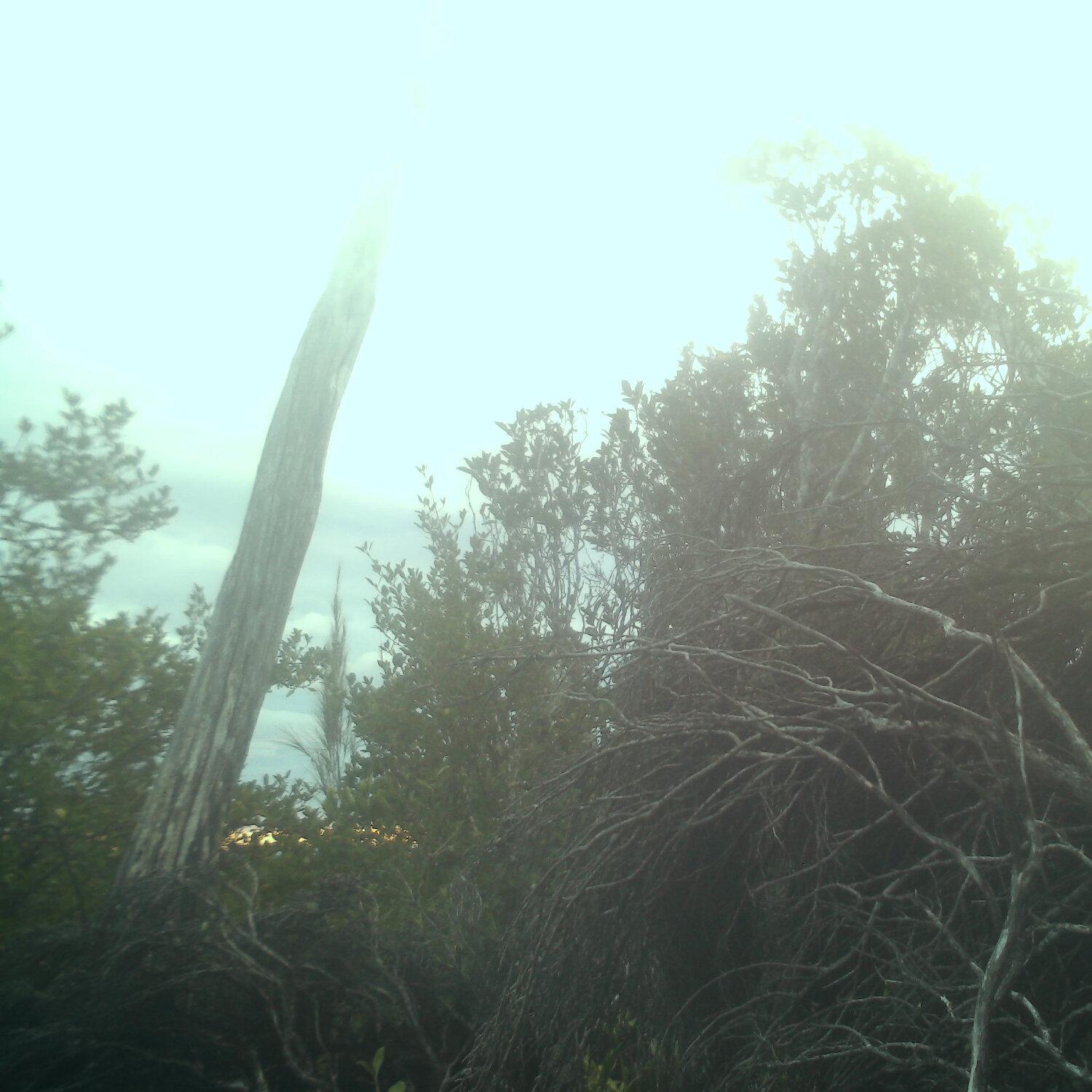 A photo captured from the webcam at the time the audio was recorded