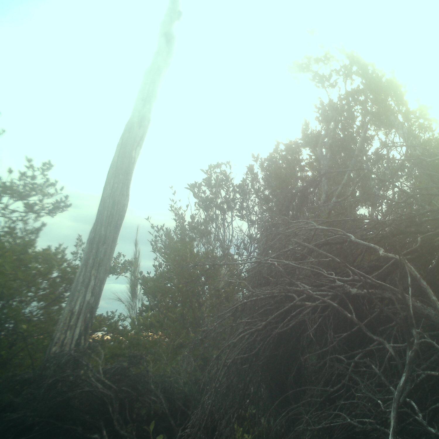 A photo captured from the webcam at the time the audio was recorded