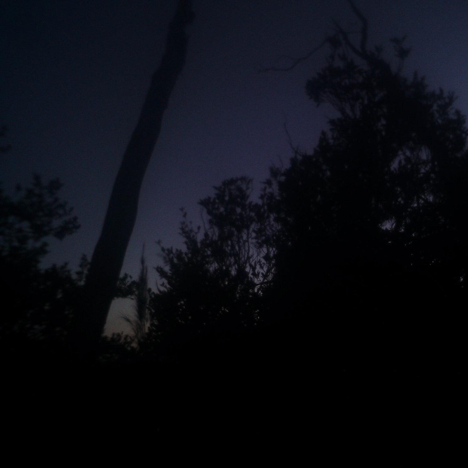 A photo captured from the webcam at the time the audio was recorded