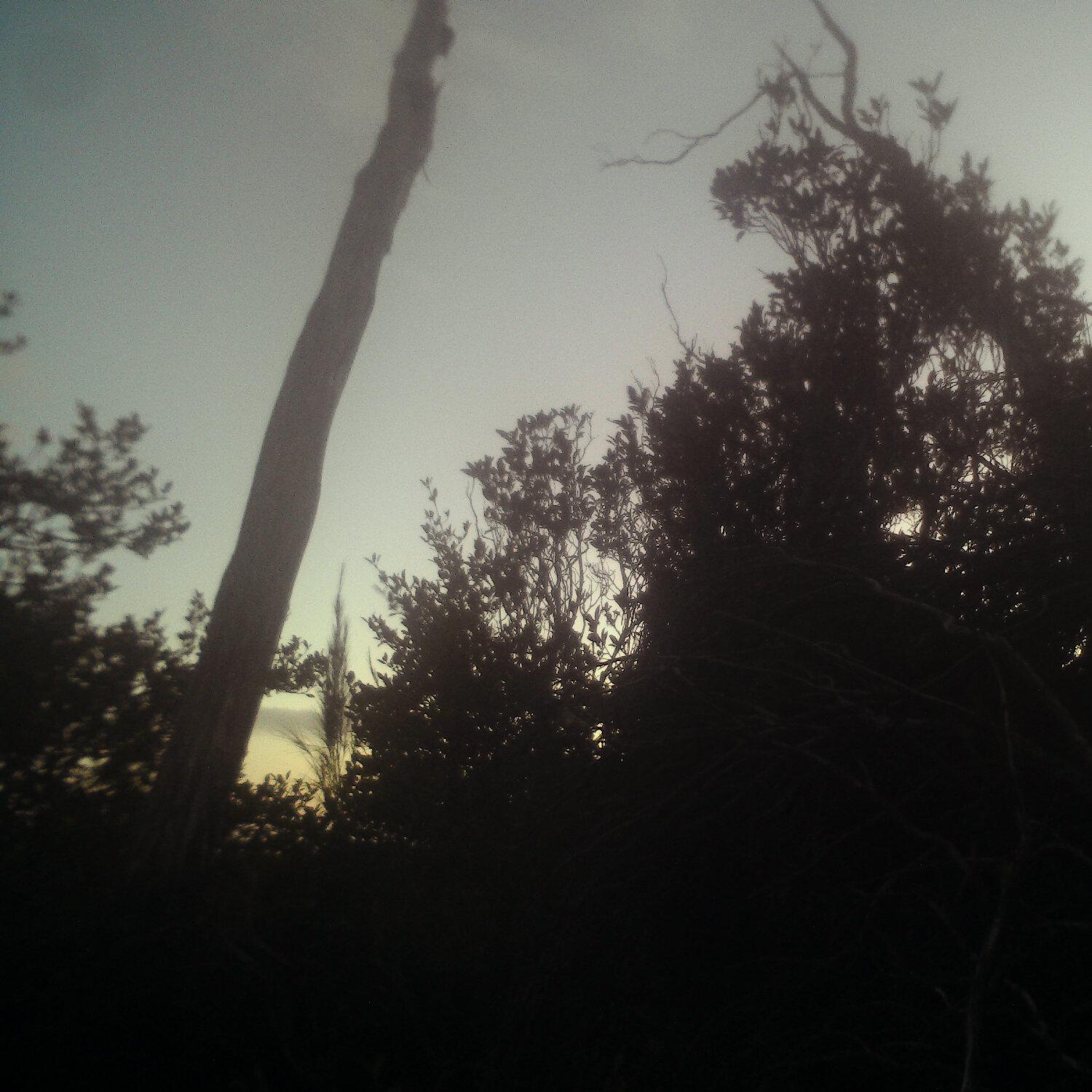 A photo captured from the webcam at the time the audio was recorded