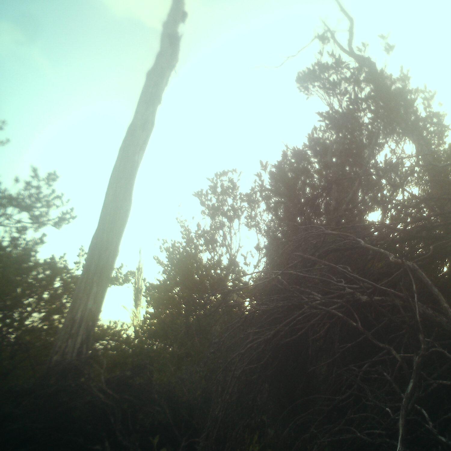 A photo captured from the webcam at the time the audio was recorded