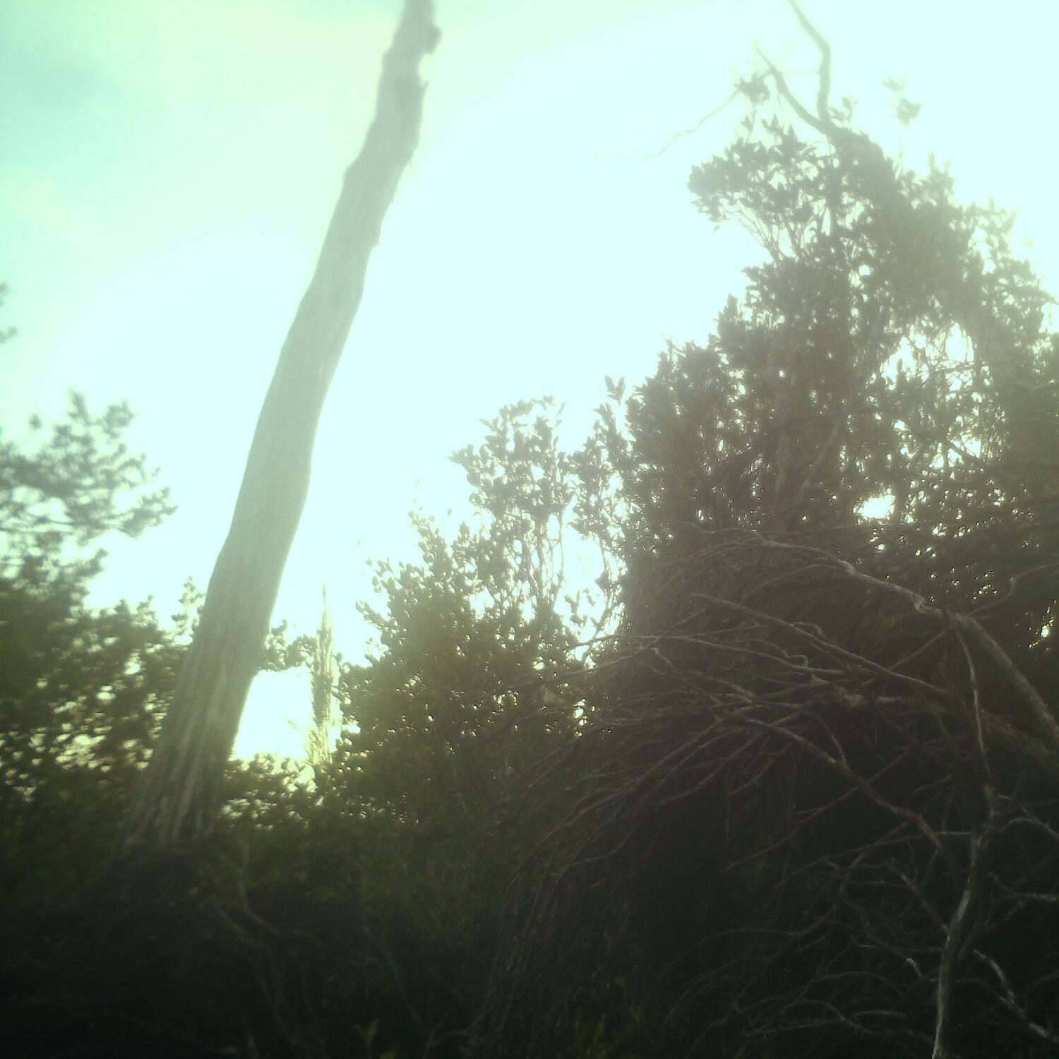 A photo captured from the webcam at the time the audio was recorded