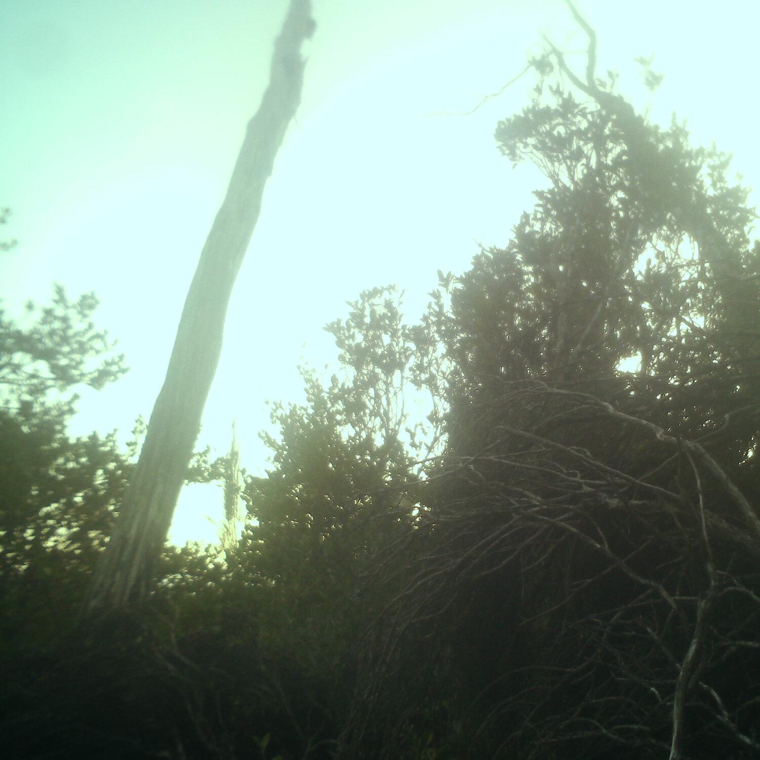 A photo captured from the webcam at the time the audio was recorded