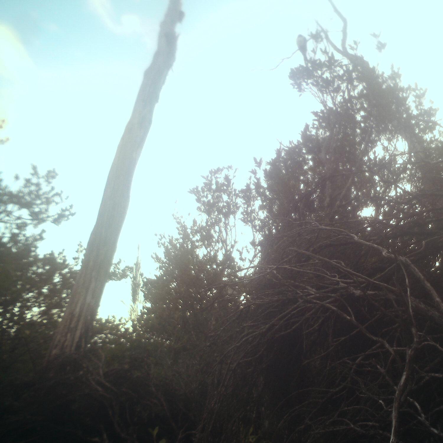 A photo captured from the webcam at the time the audio was recorded