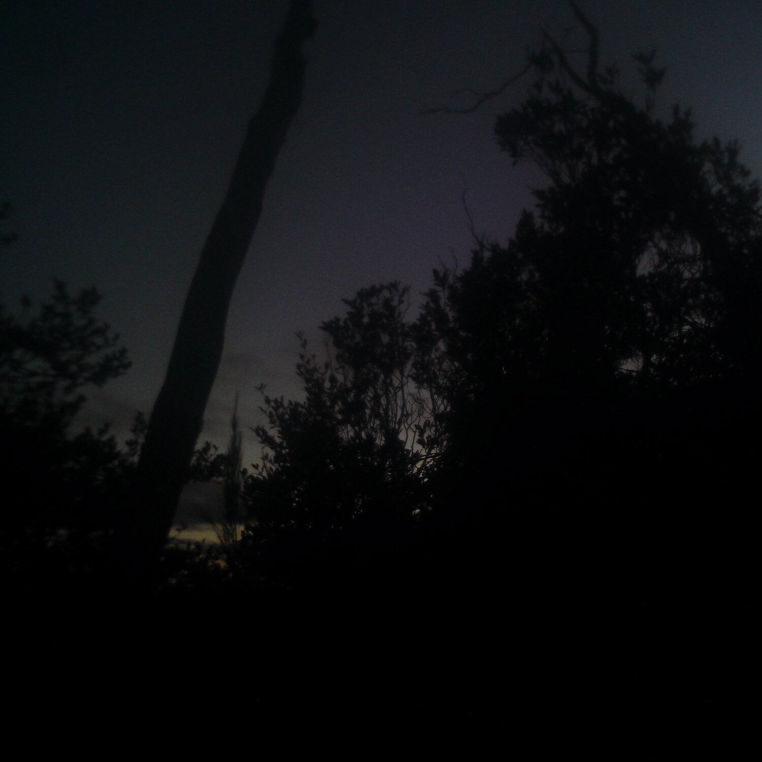 A photo captured from the webcam at the time the audio was recorded