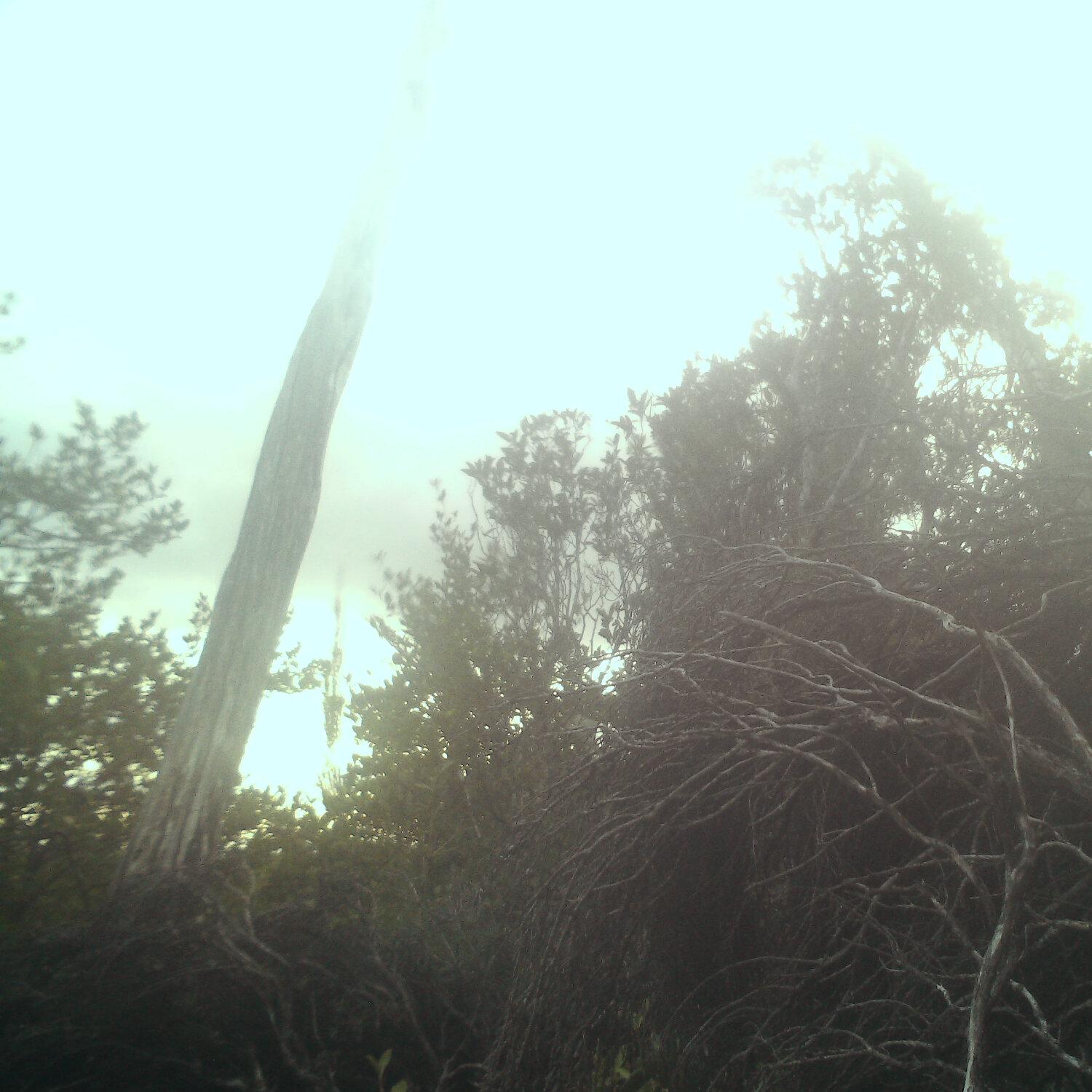 A photo captured from the webcam at the time the audio was recorded