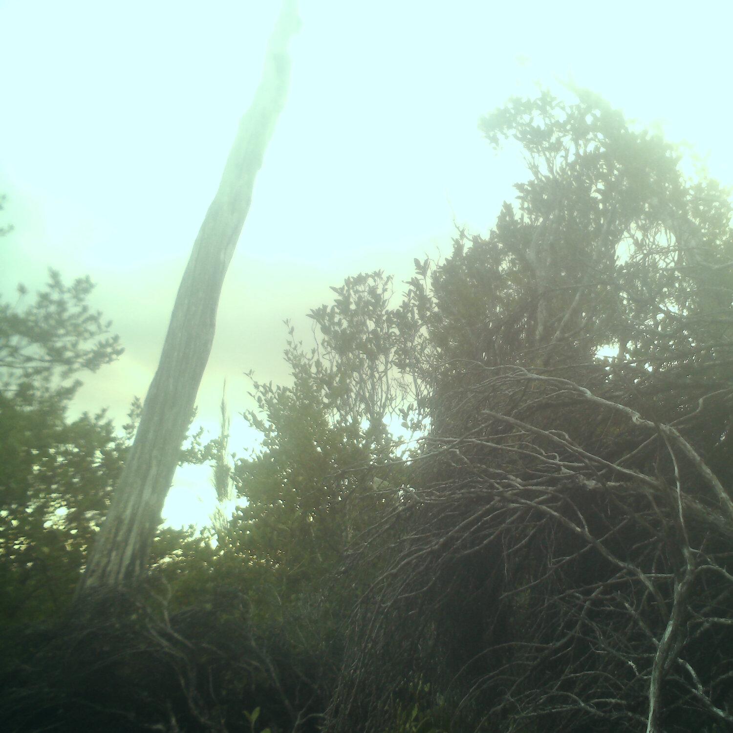 A photo captured from the webcam at the time the audio was recorded