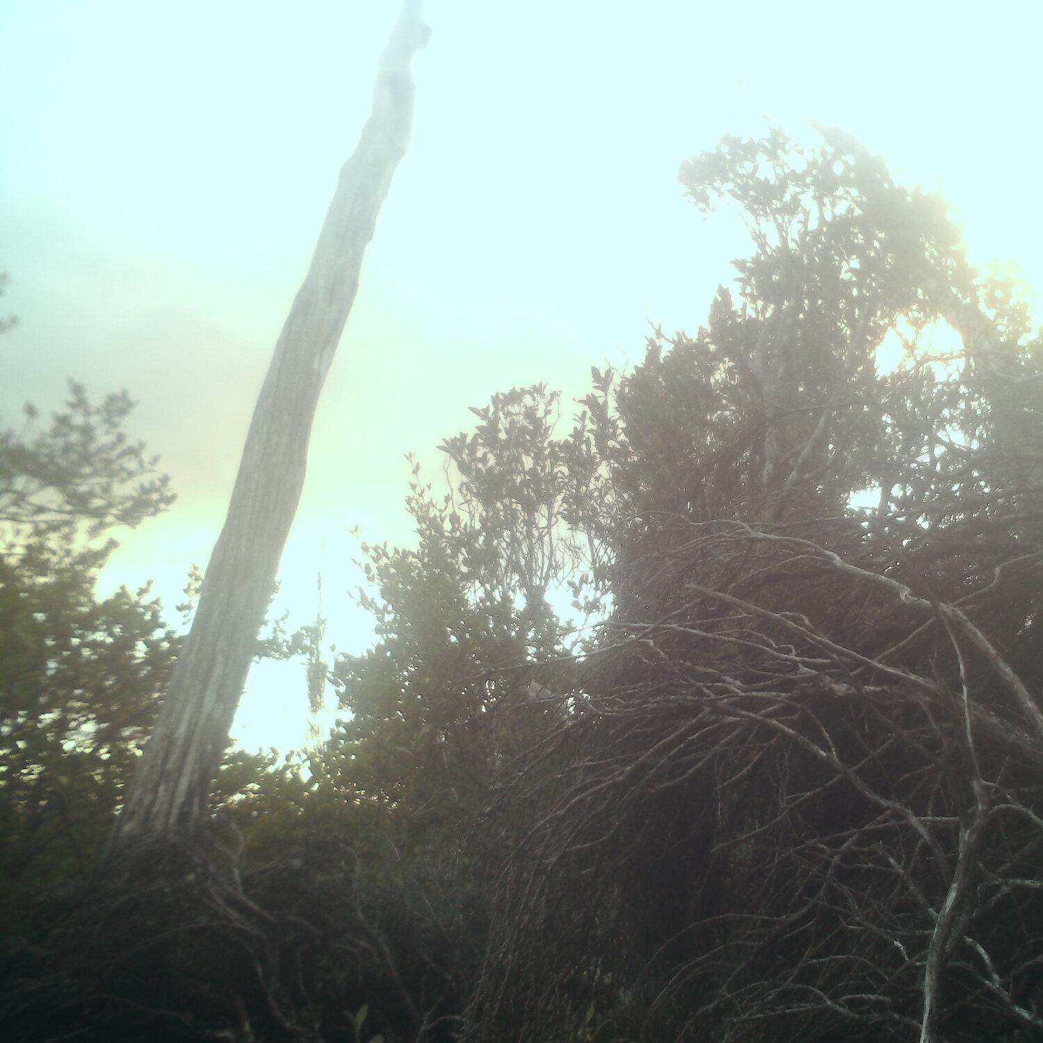 A photo captured from the webcam at the time the audio was recorded