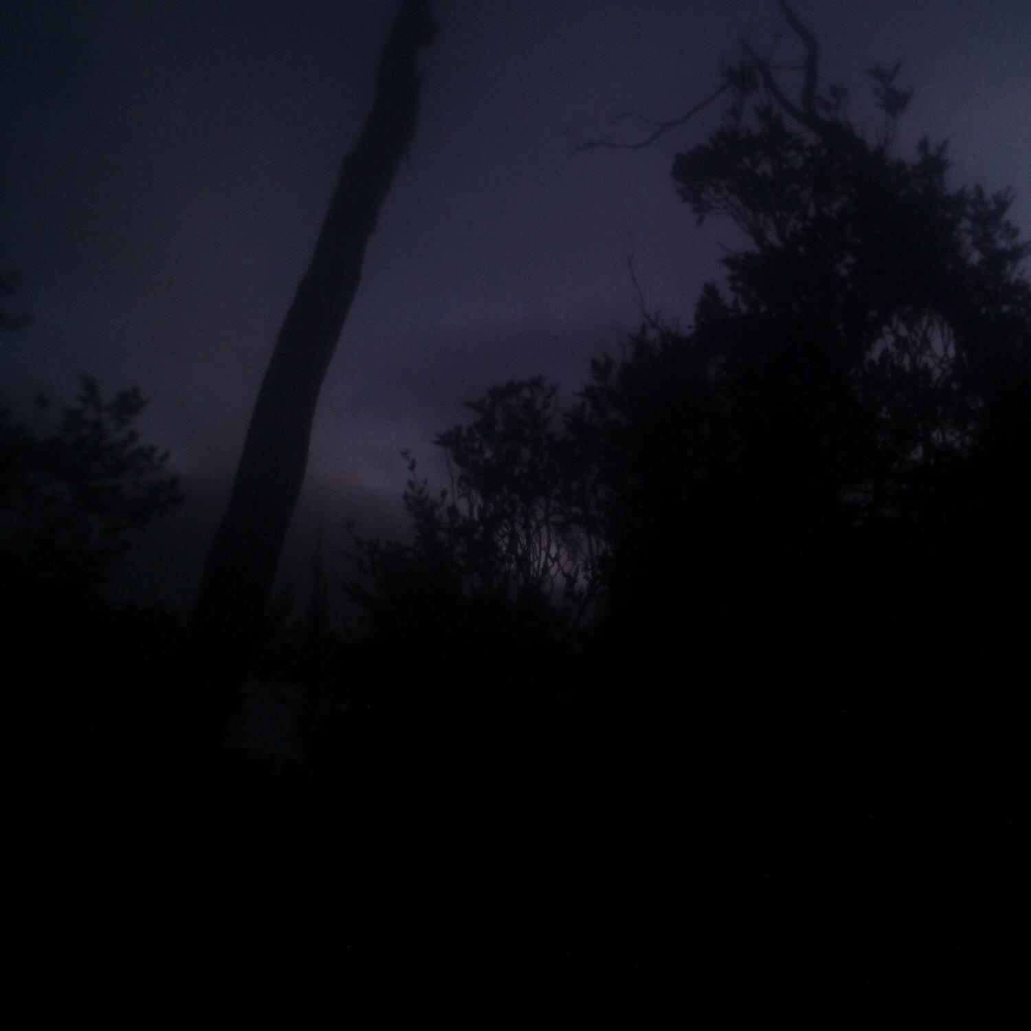 A photo captured from the webcam at the time the audio was recorded