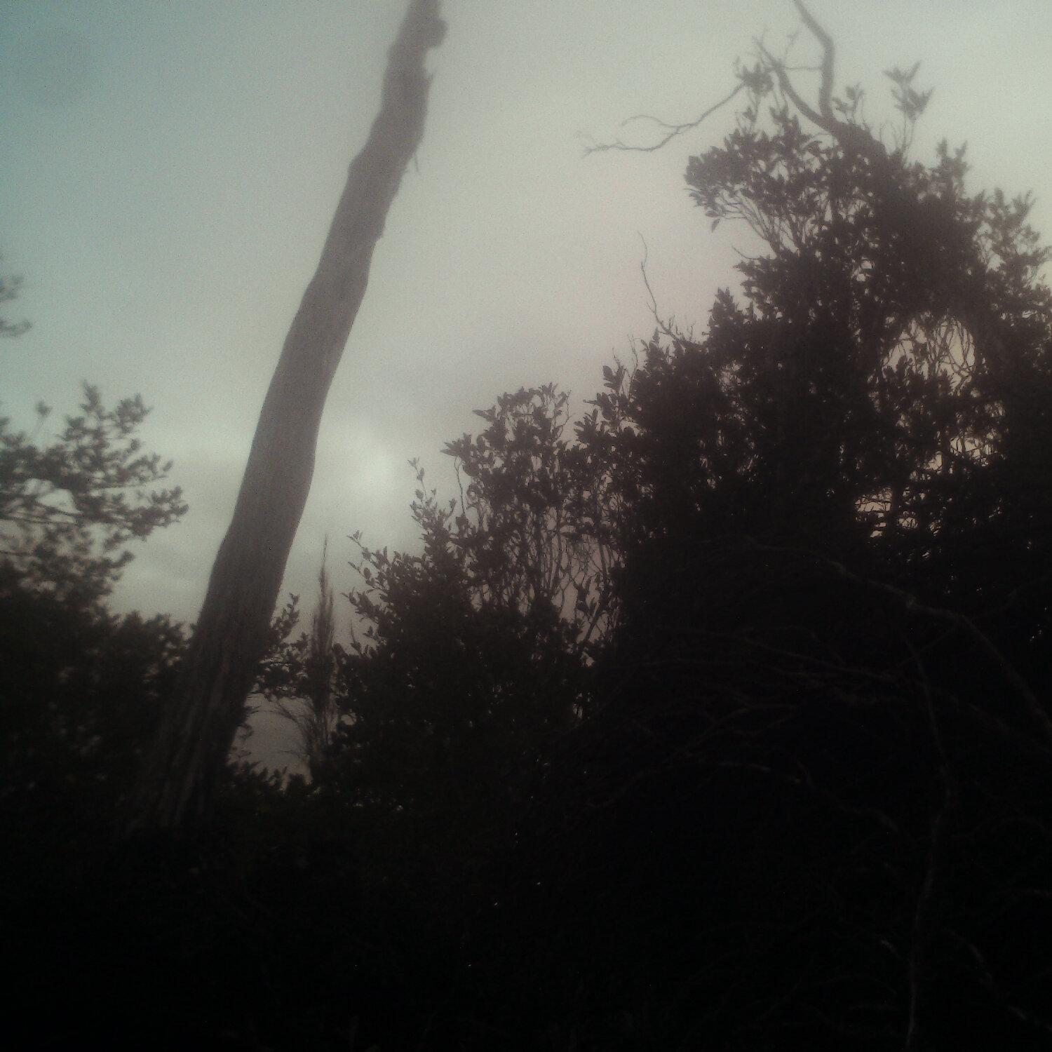 A photo captured from the webcam at the time the audio was recorded