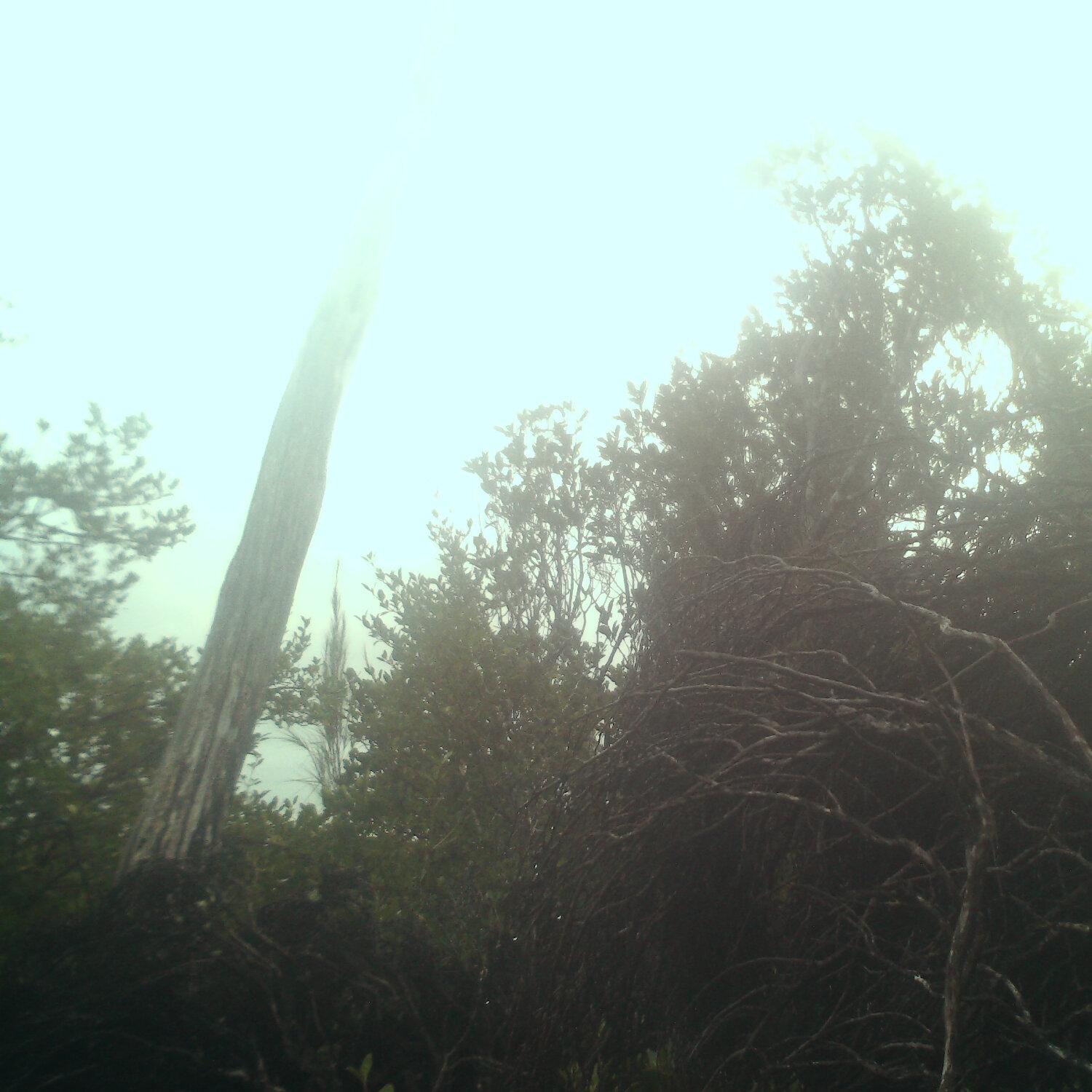 A photo captured from the webcam at the time the audio was recorded