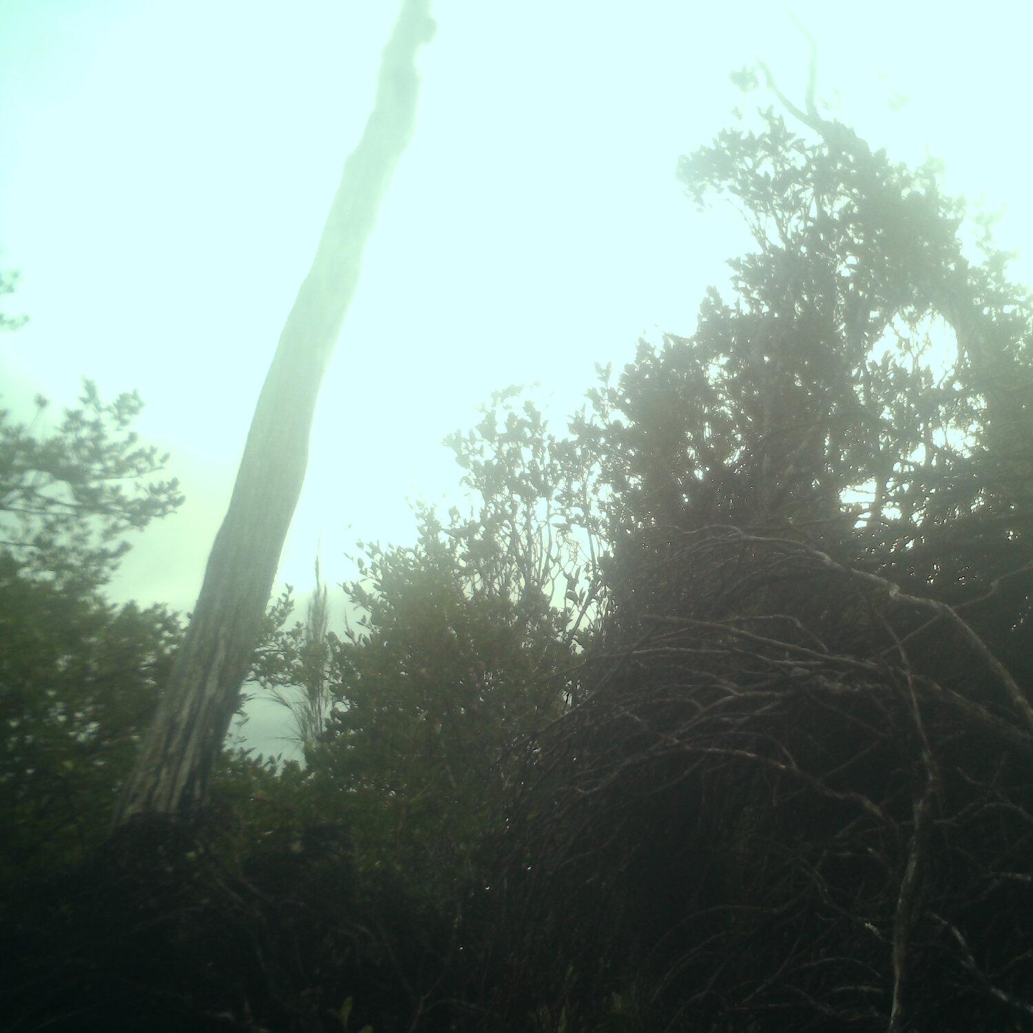 A photo captured from the webcam at the time the audio was recorded