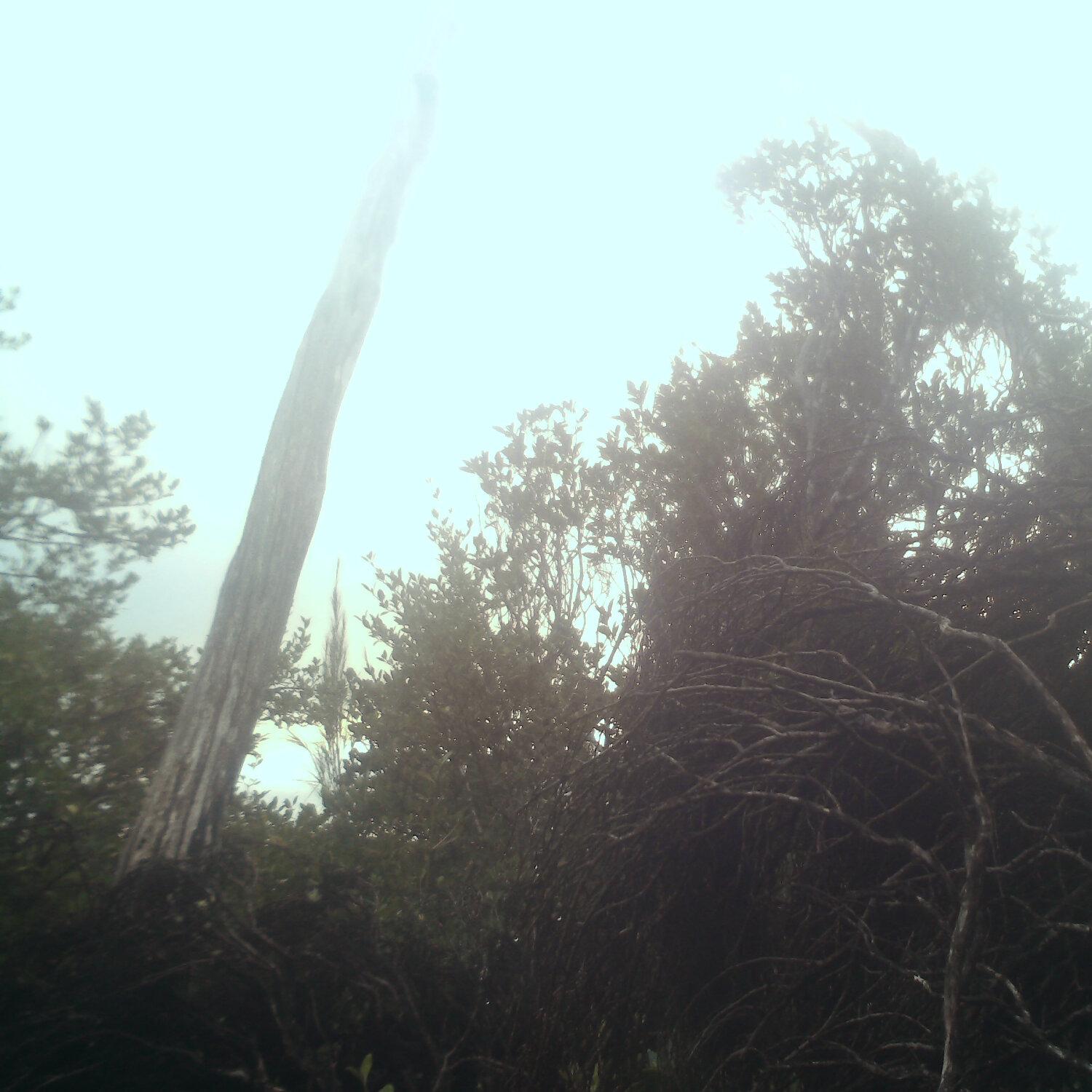 A photo captured from the webcam at the time the audio was recorded