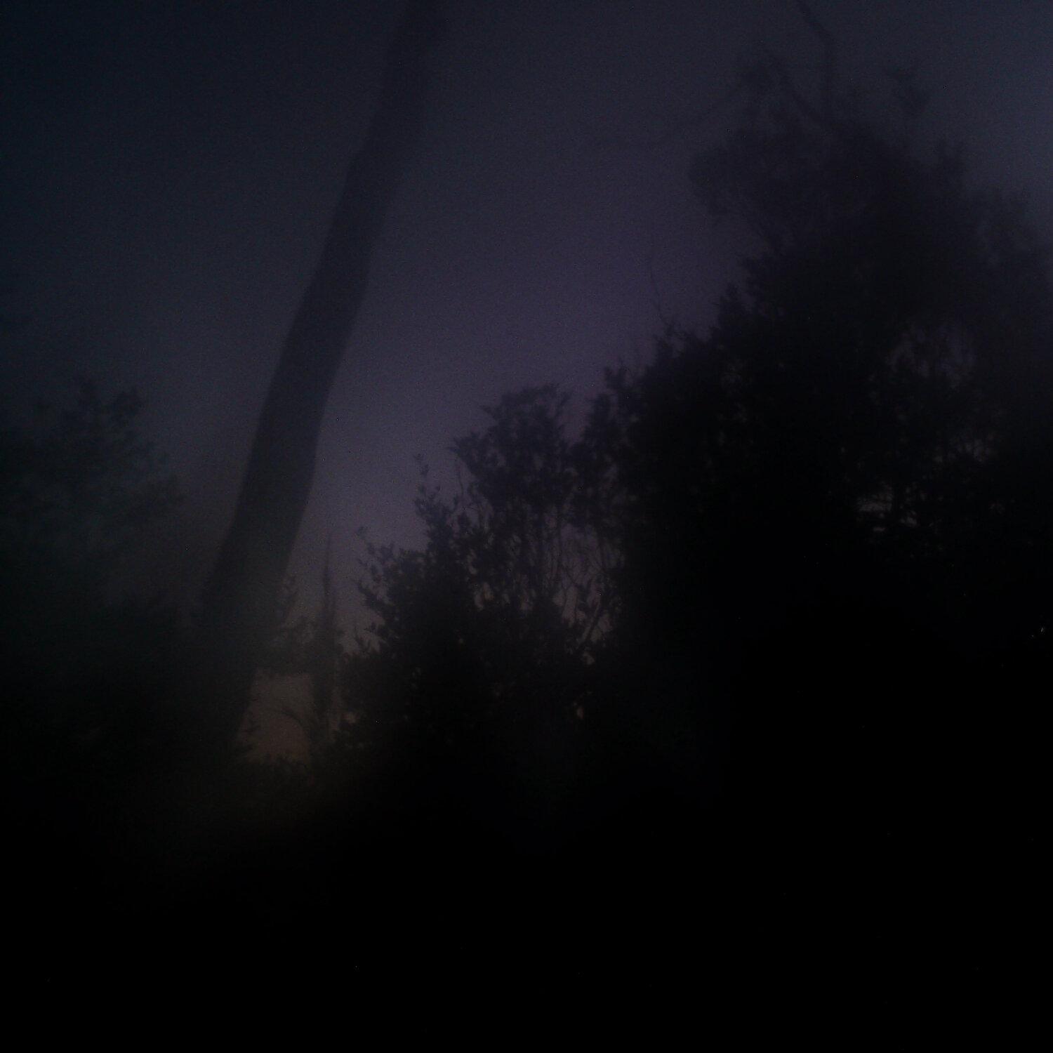 A photo captured from the webcam at the time the audio was recorded