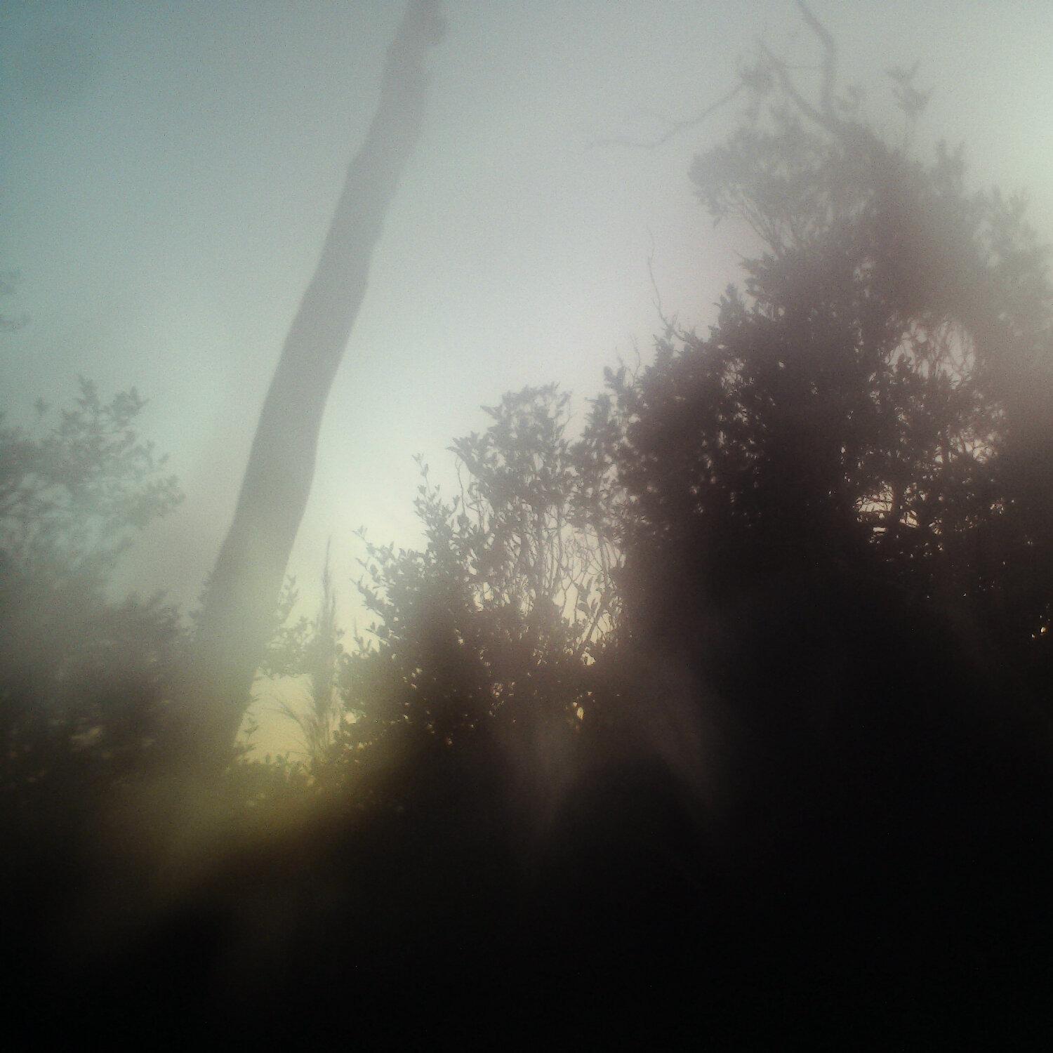 A photo captured from the webcam at the time the audio was recorded