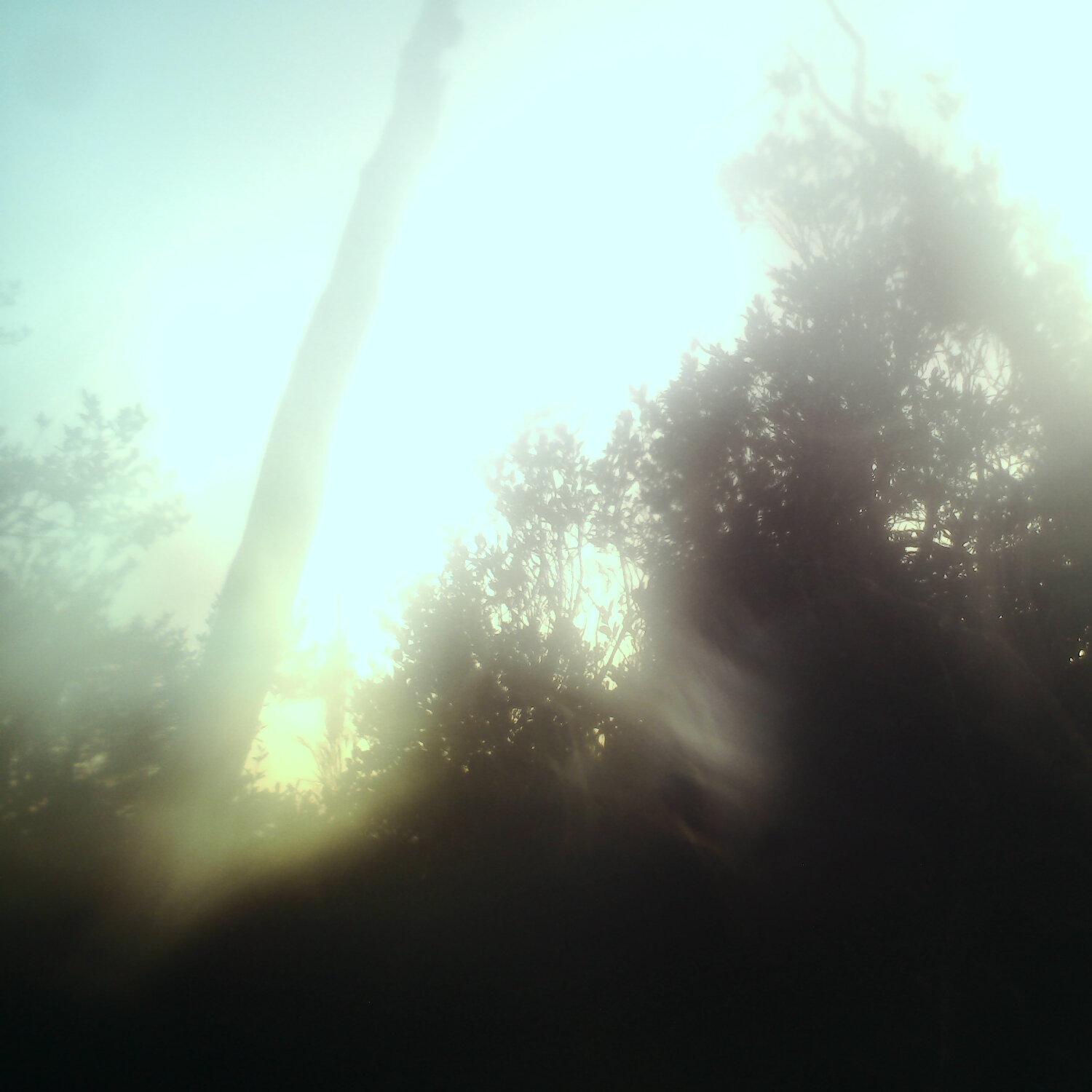 A photo captured from the webcam at the time the audio was recorded