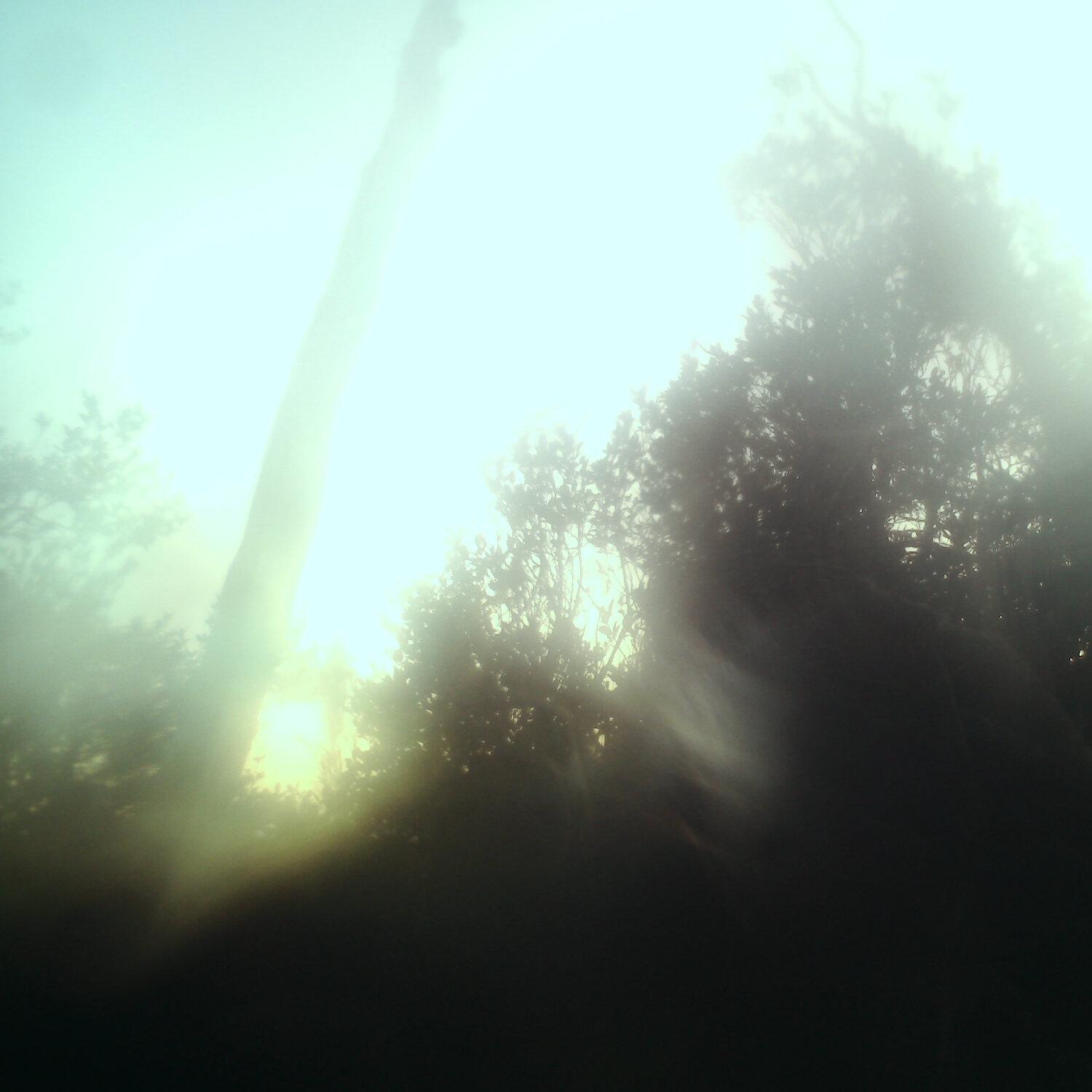 A photo captured from the webcam at the time the audio was recorded