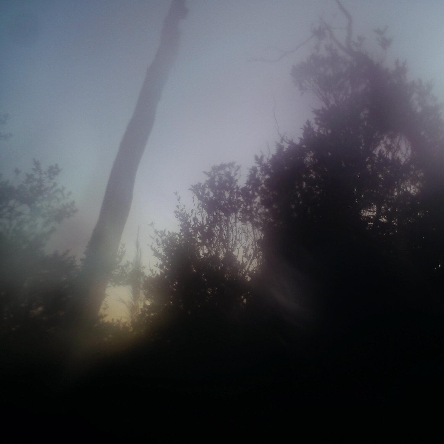 A photo captured from the webcam at the time the audio was recorded