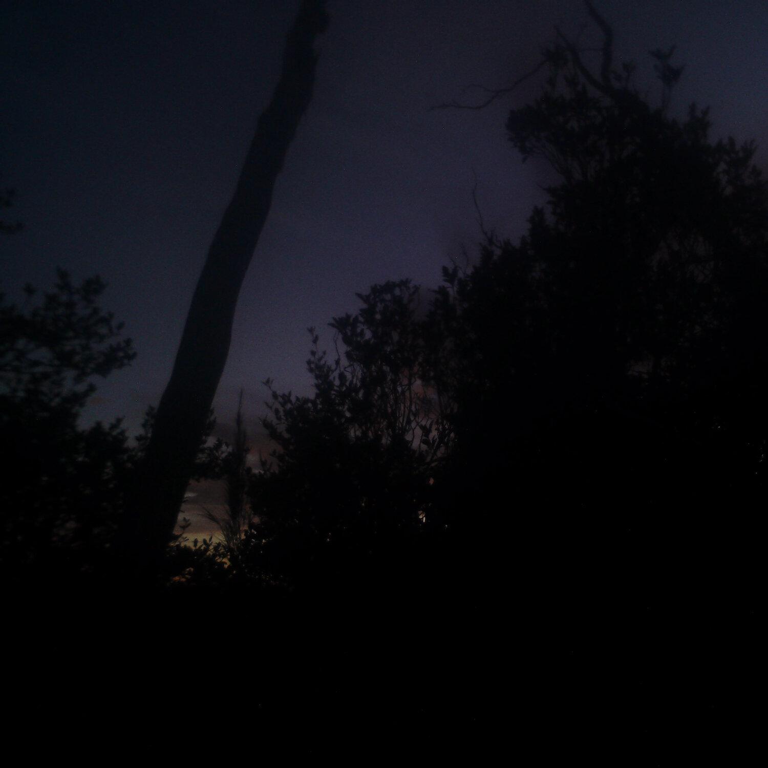 A photo captured from the webcam at the time the audio was recorded