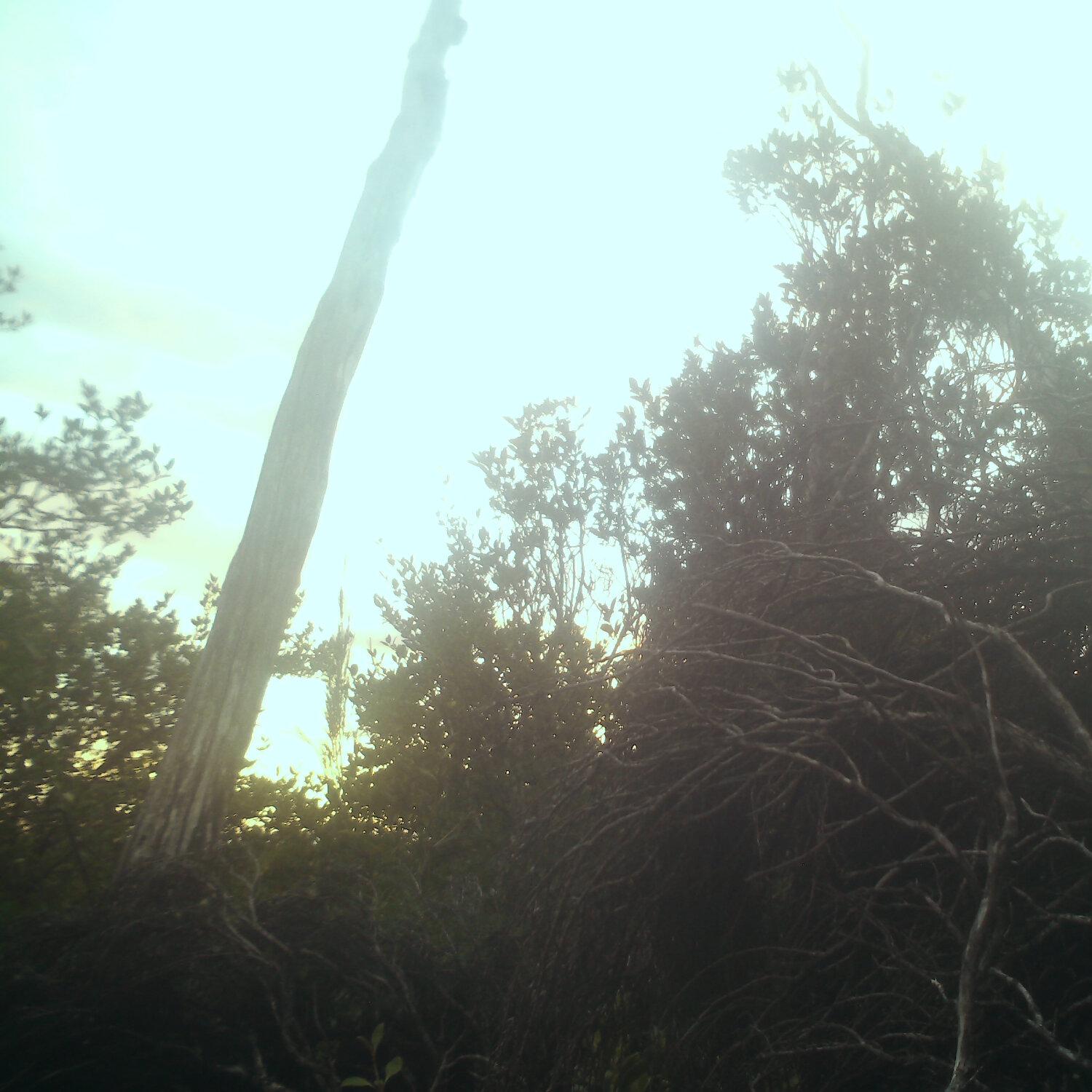 A photo captured from the webcam at the time the audio was recorded