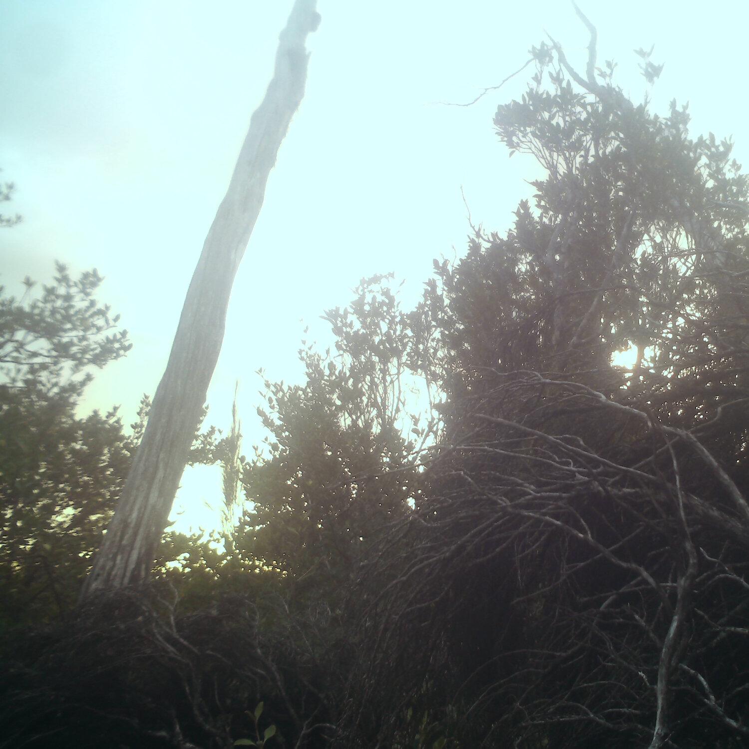 A photo captured from the webcam at the time the audio was recorded