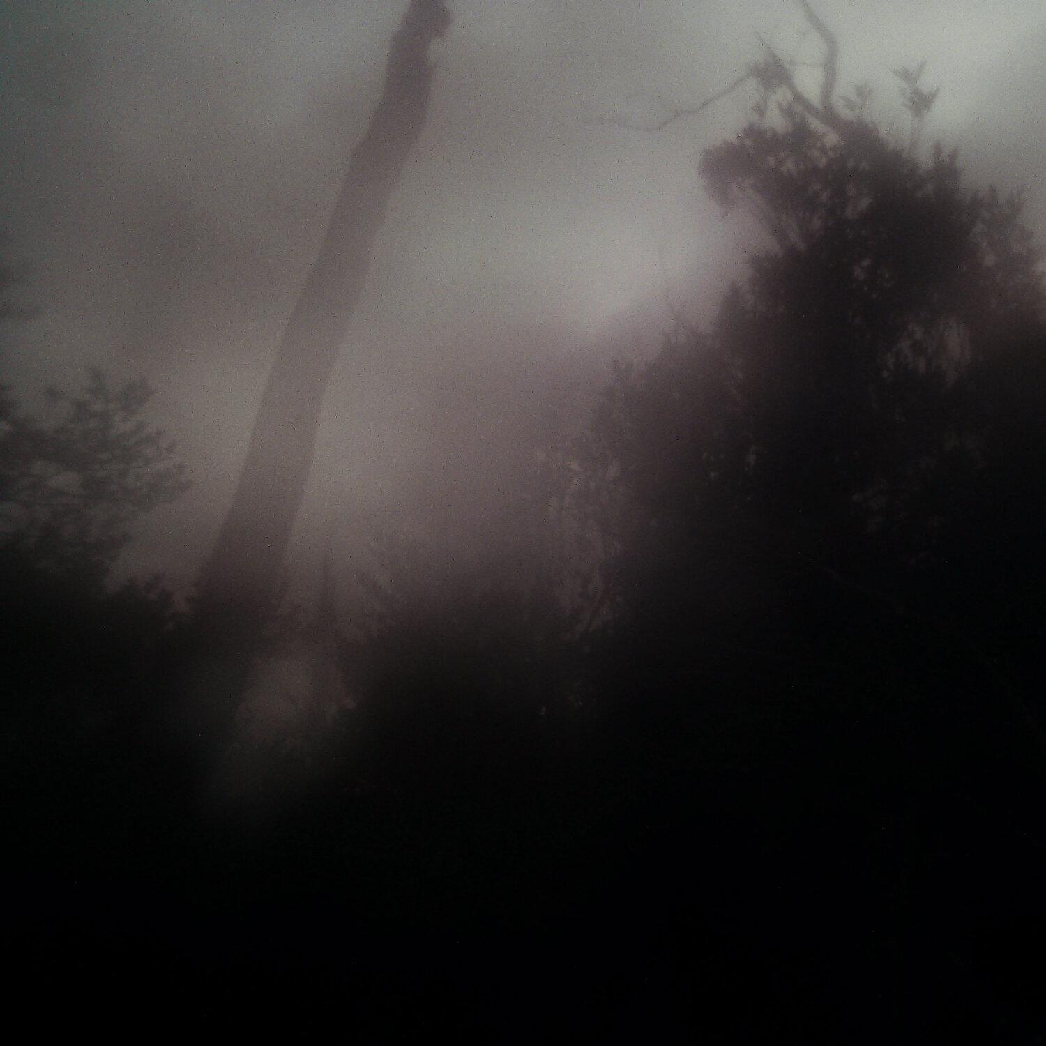 A photo captured from the webcam at the time the audio was recorded