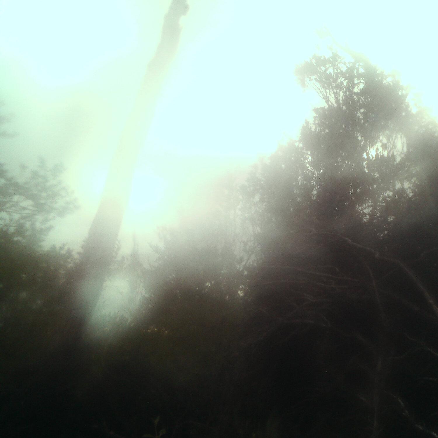 A photo captured from the webcam at the time the audio was recorded