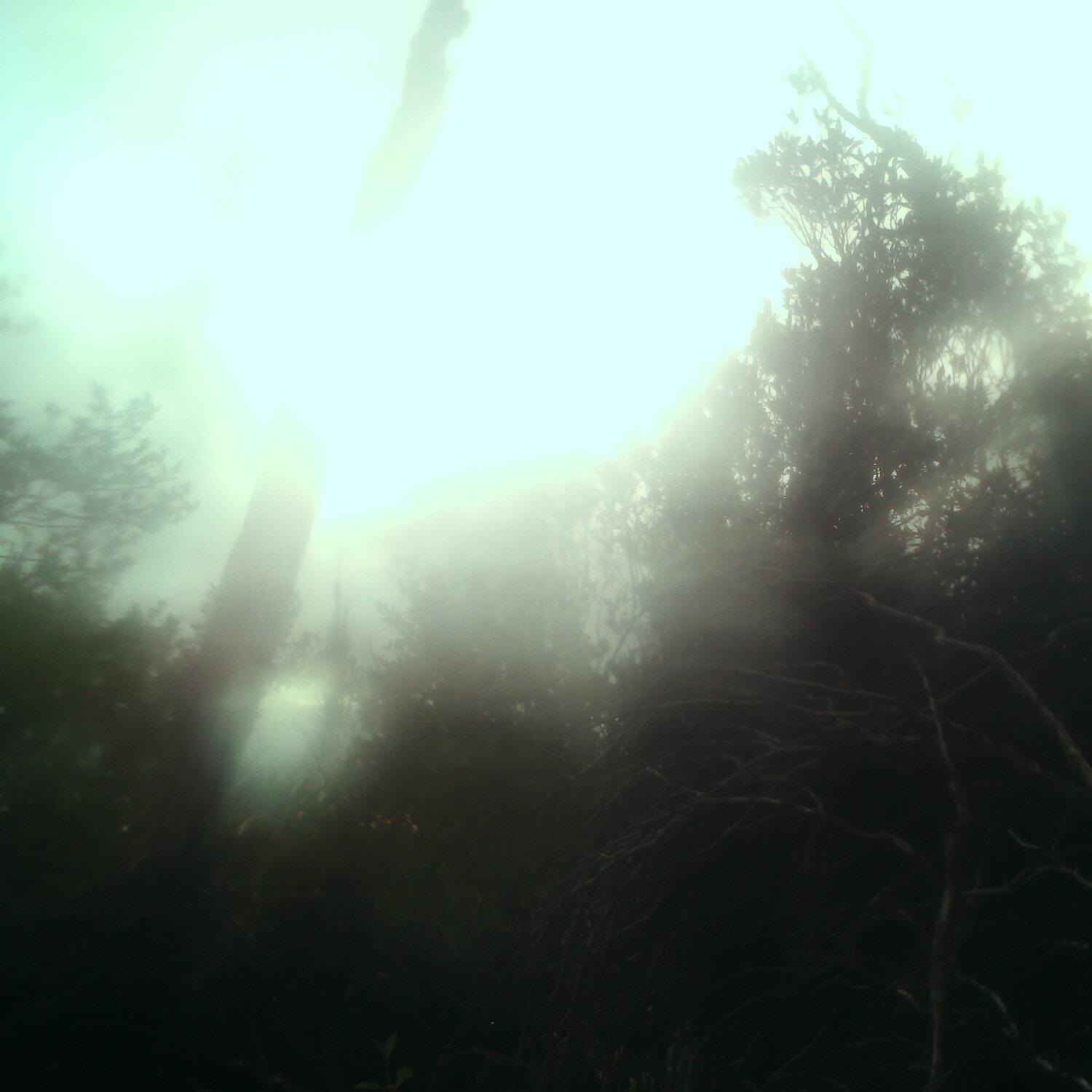 A photo captured from the webcam at the time the audio was recorded