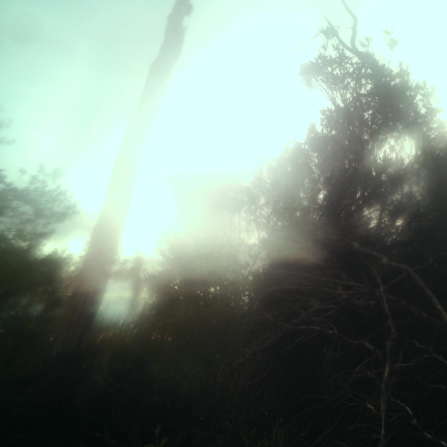 A photo captured from the webcam at the time the audio was recorded