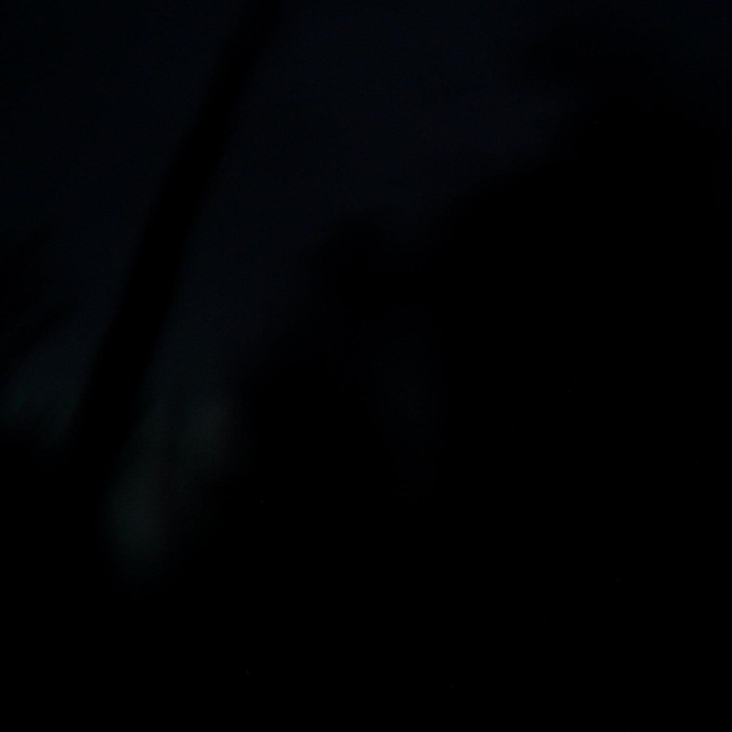 A photo captured from the webcam at the time the audio was recorded