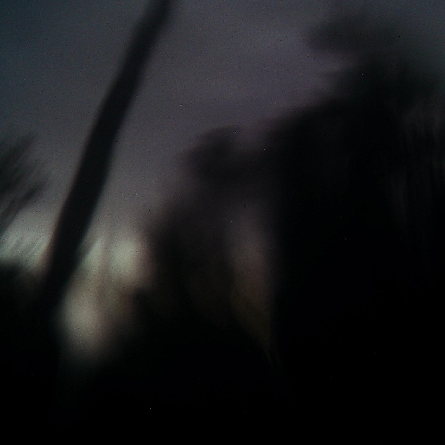 A photo captured from the webcam at the time the audio was recorded