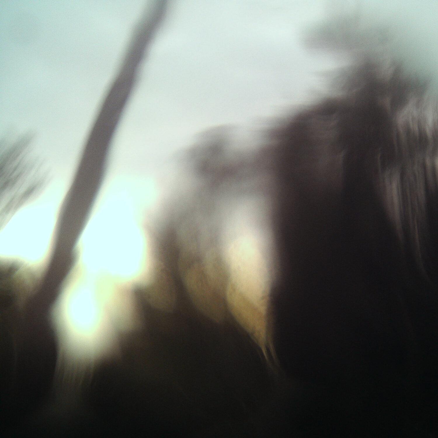 A photo captured from the webcam at the time the audio was recorded