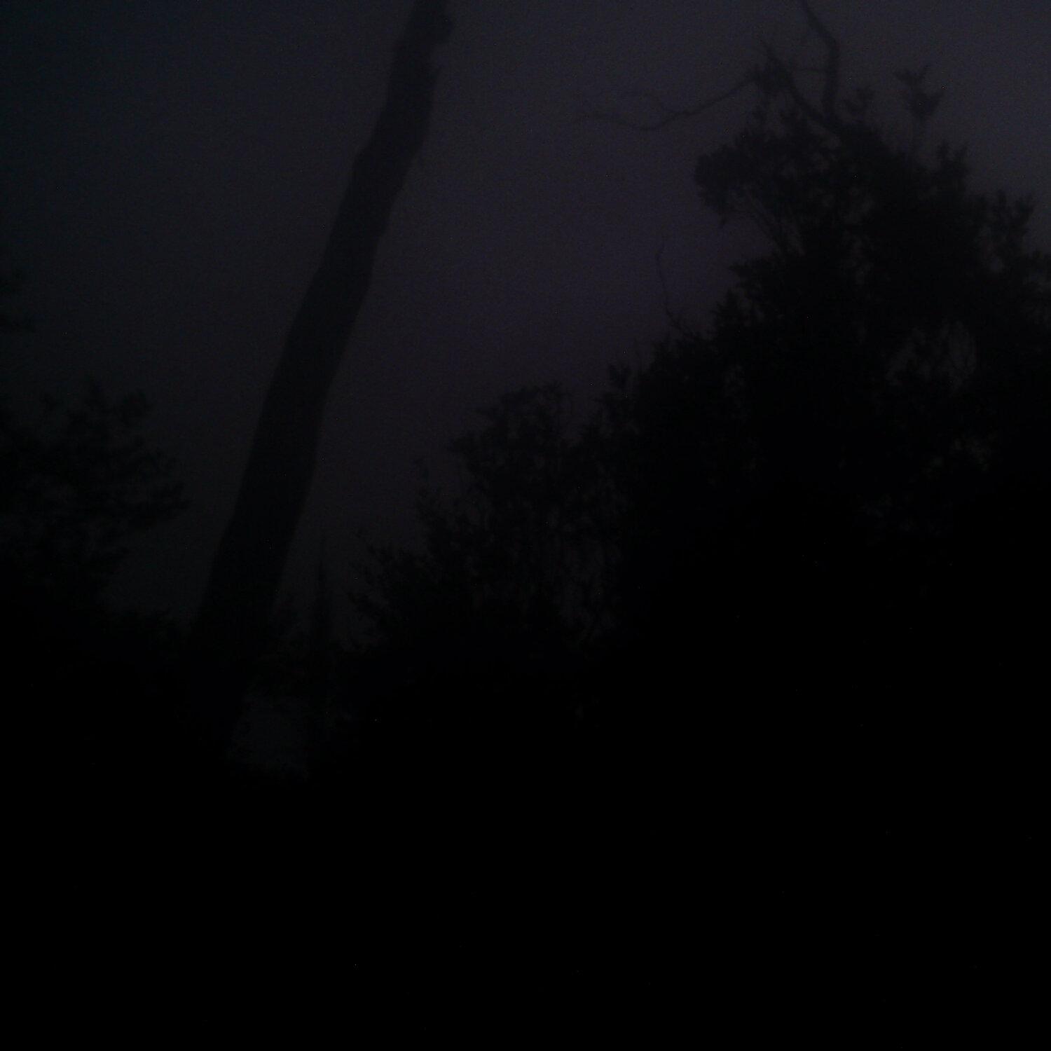 A photo captured from the webcam at the time the audio was recorded