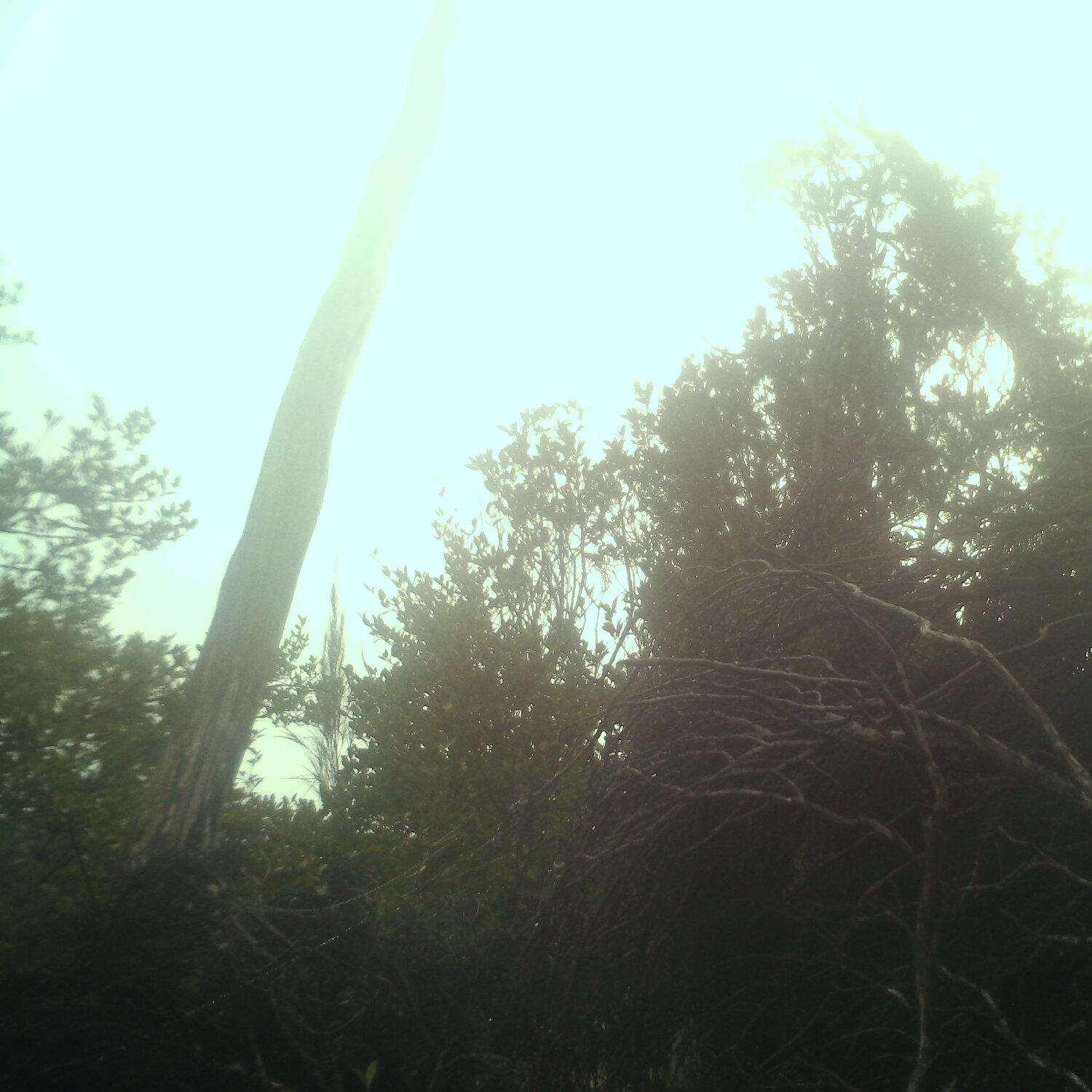 A photo captured from the webcam at the time the audio was recorded