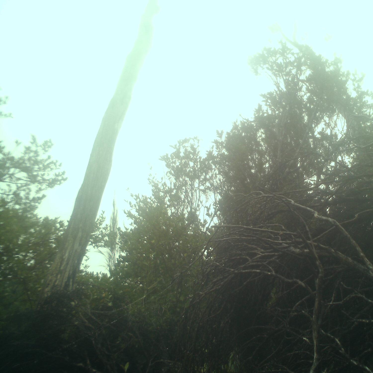 A photo captured from the webcam at the time the audio was recorded