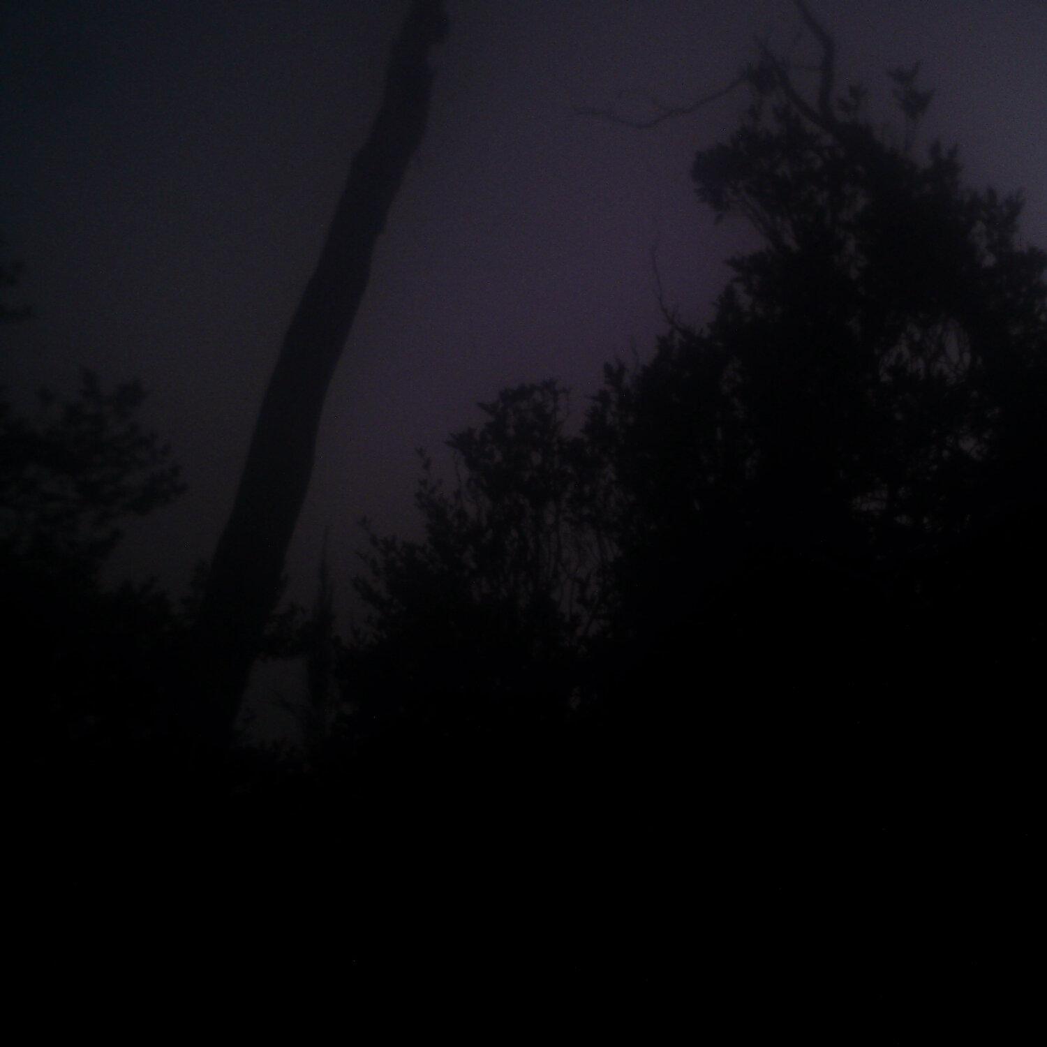 A photo captured from the webcam at the time the audio was recorded
