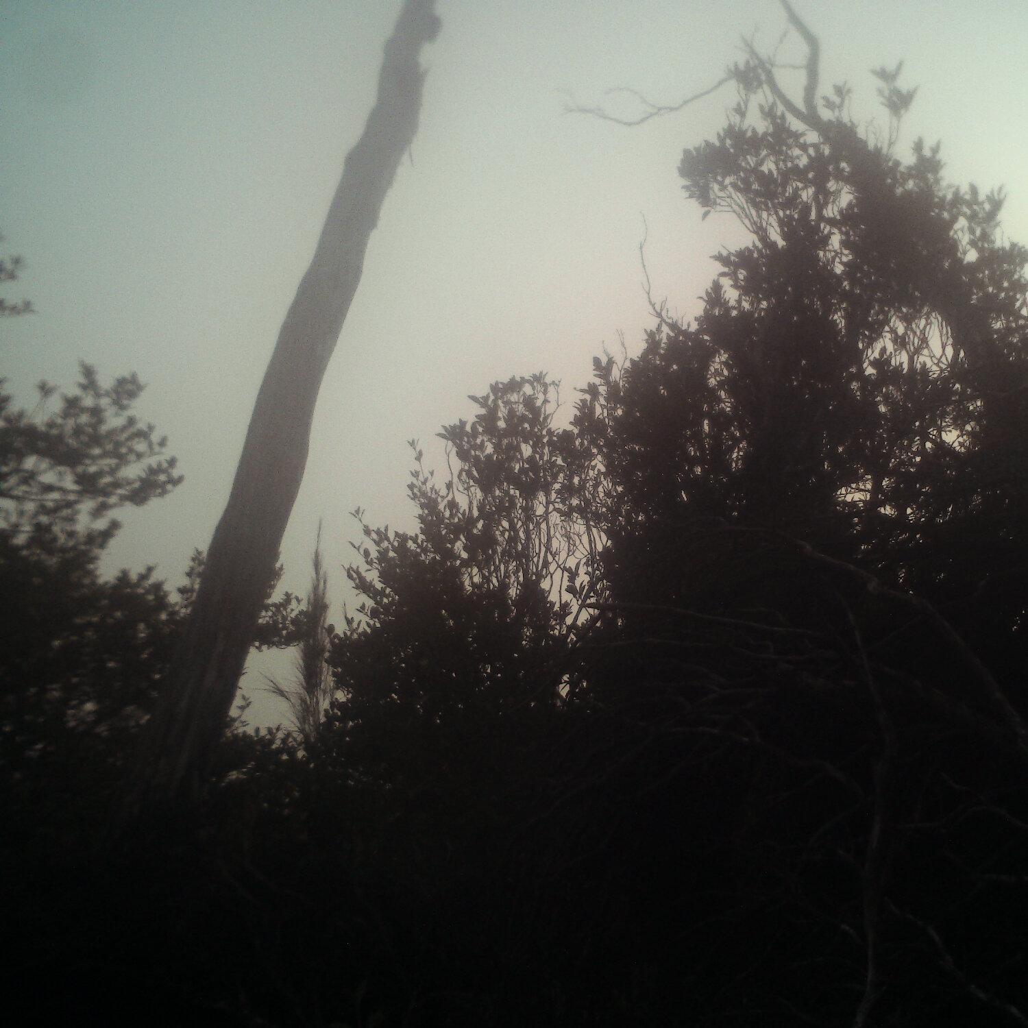 A photo captured from the webcam at the time the audio was recorded