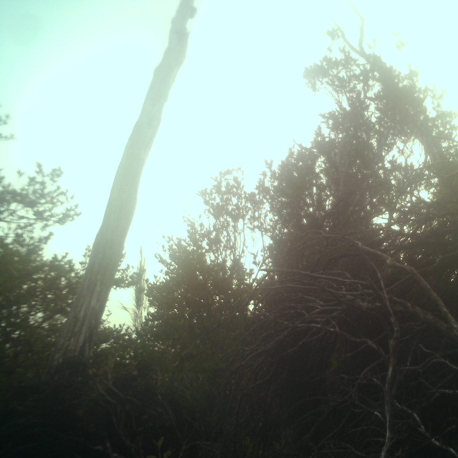A photo captured from the webcam at the time the audio was recorded