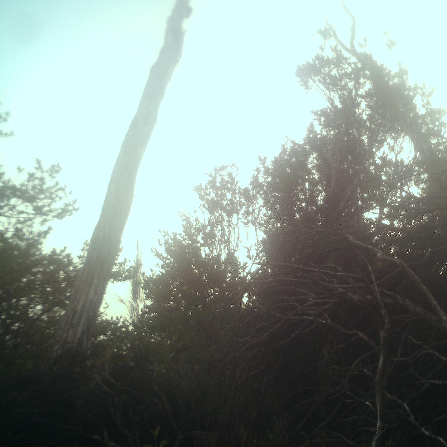 A photo captured from the webcam at the time the audio was recorded