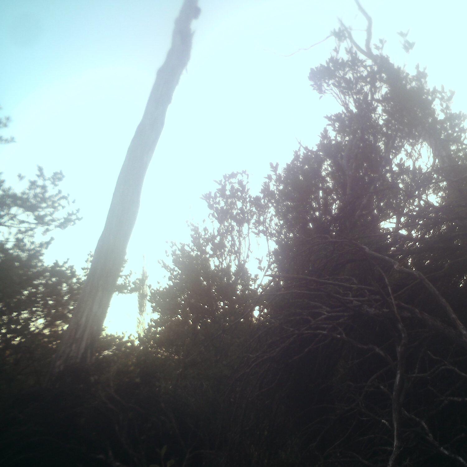 A photo captured from the webcam at the time the audio was recorded