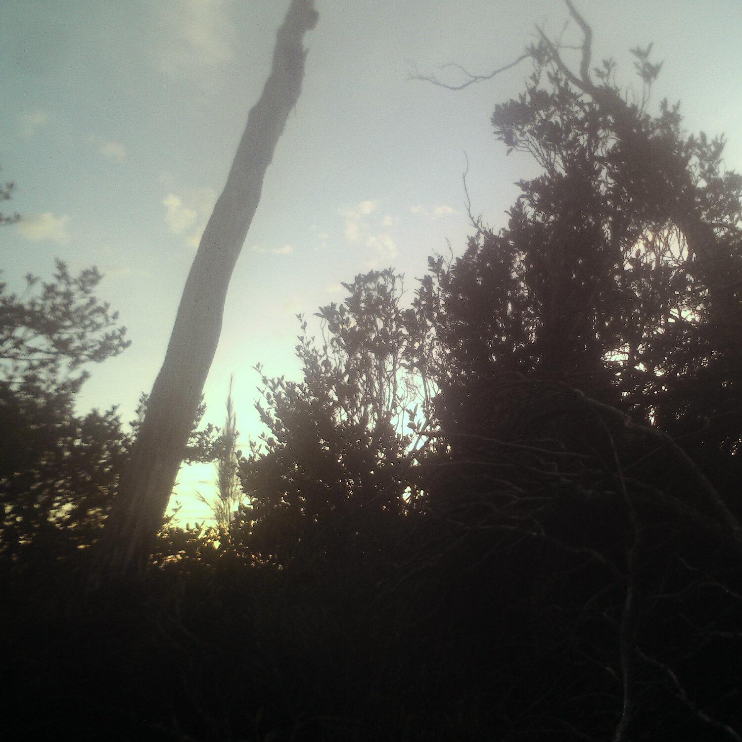 A photo captured from the webcam at the time the audio was recorded