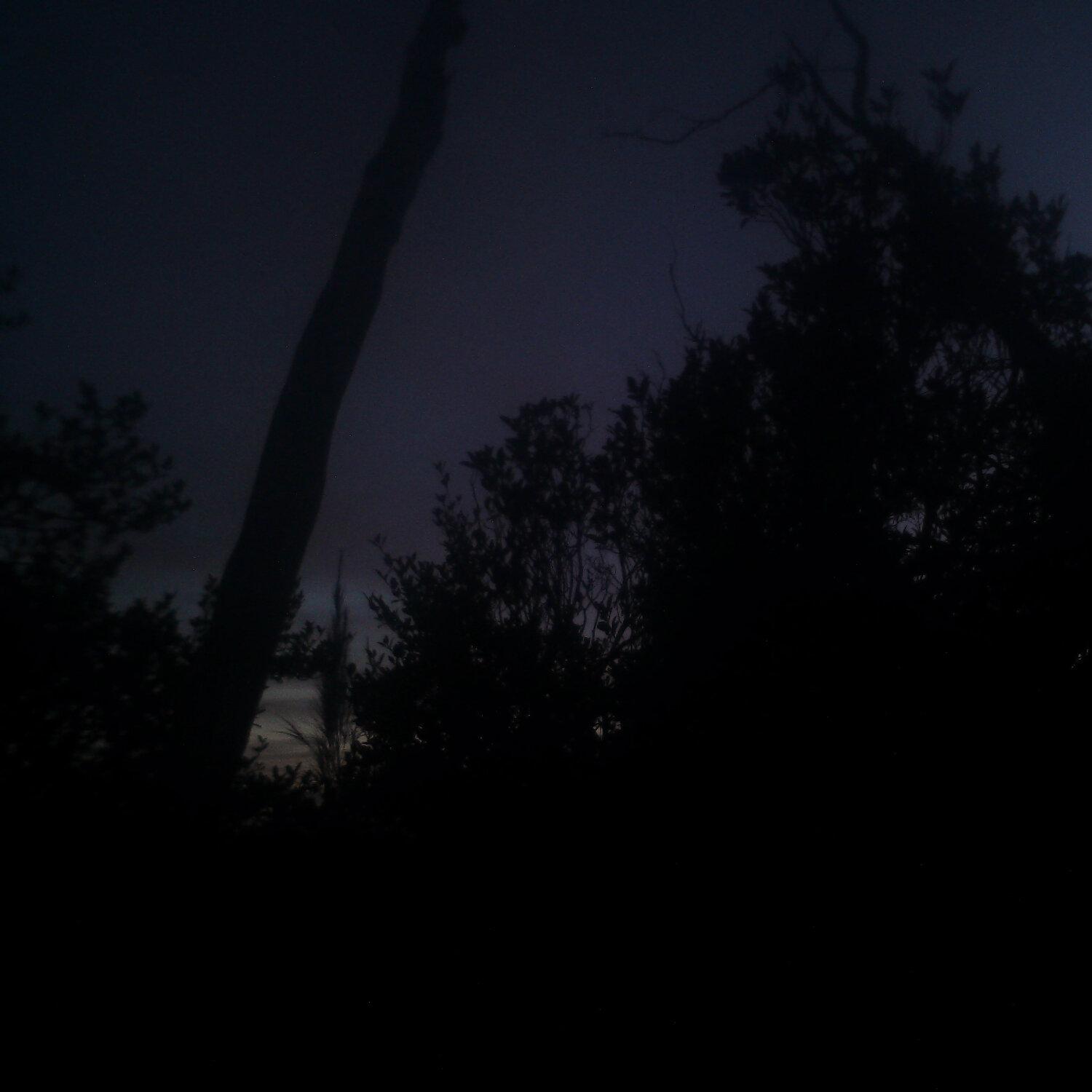 A photo captured from the webcam at the time the audio was recorded