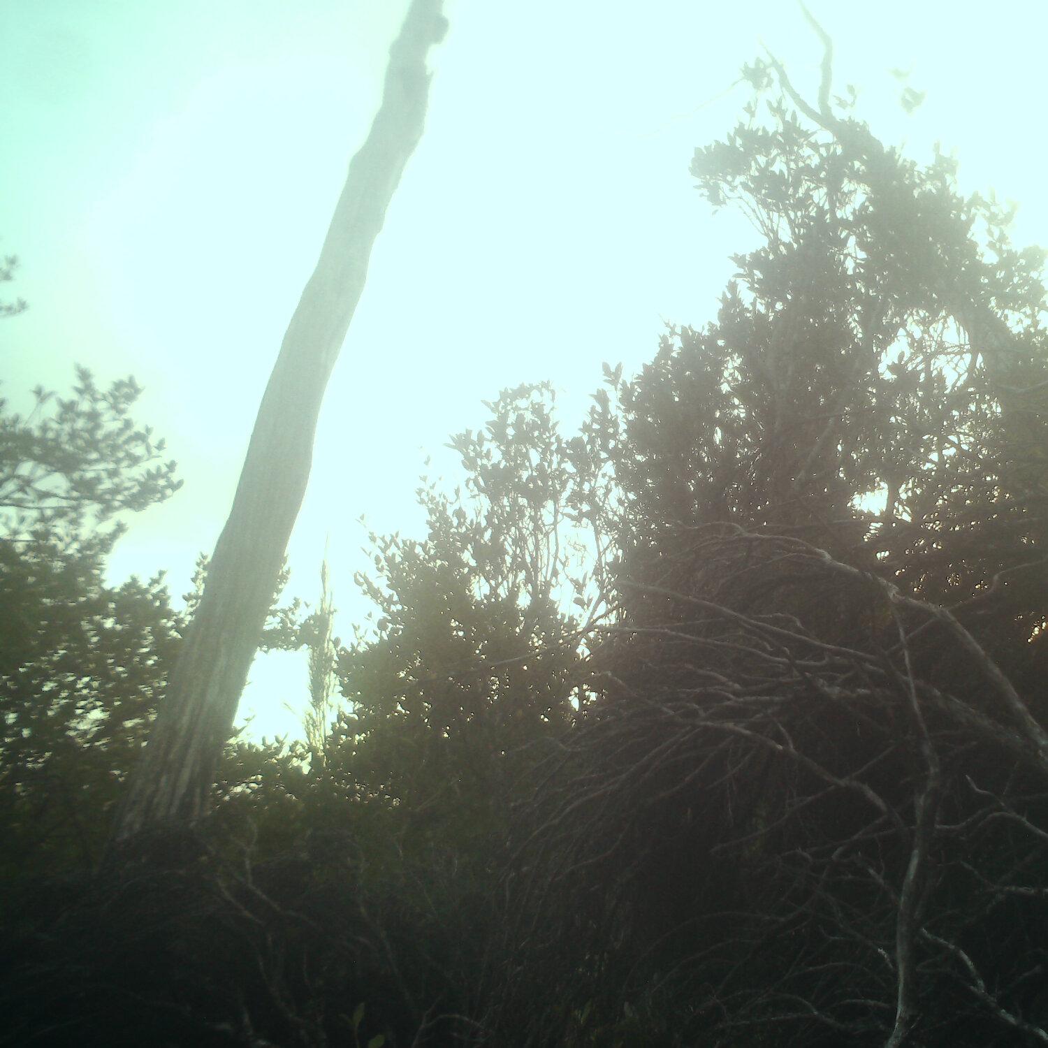 A photo captured from the webcam at the time the audio was recorded