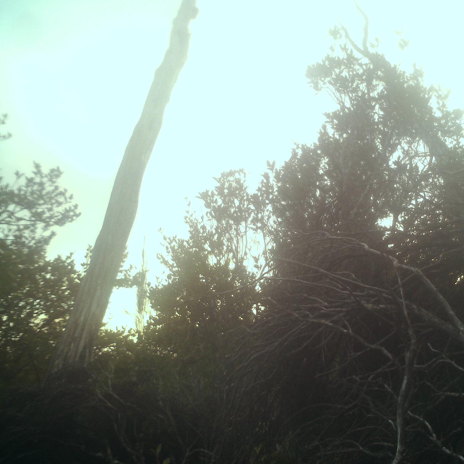 A photo captured from the webcam at the time the audio was recorded