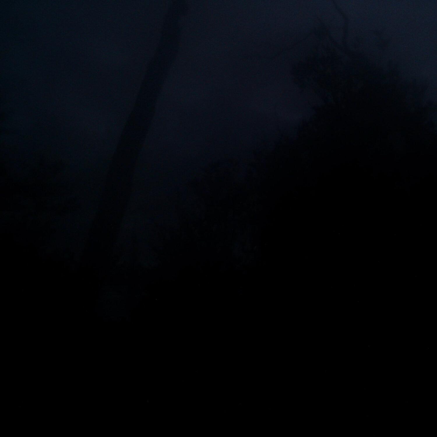 A photo captured from the webcam at the time the audio was recorded