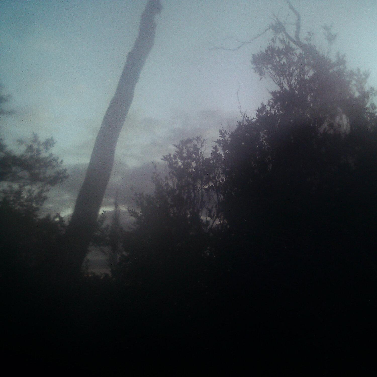 A photo captured from the webcam at the time the audio was recorded
